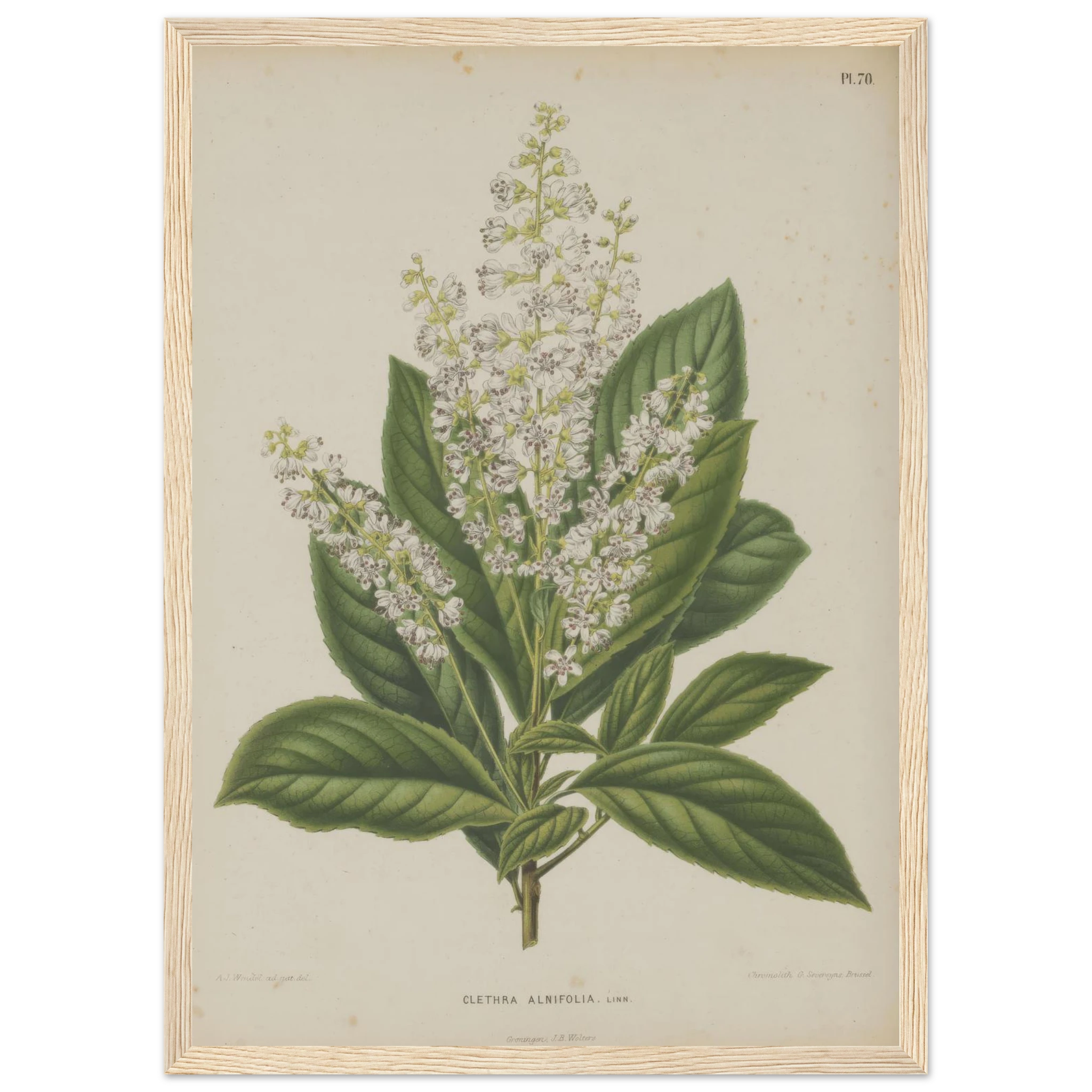 5cd24eb0-e293-41ac-9e0a-61d18443c282