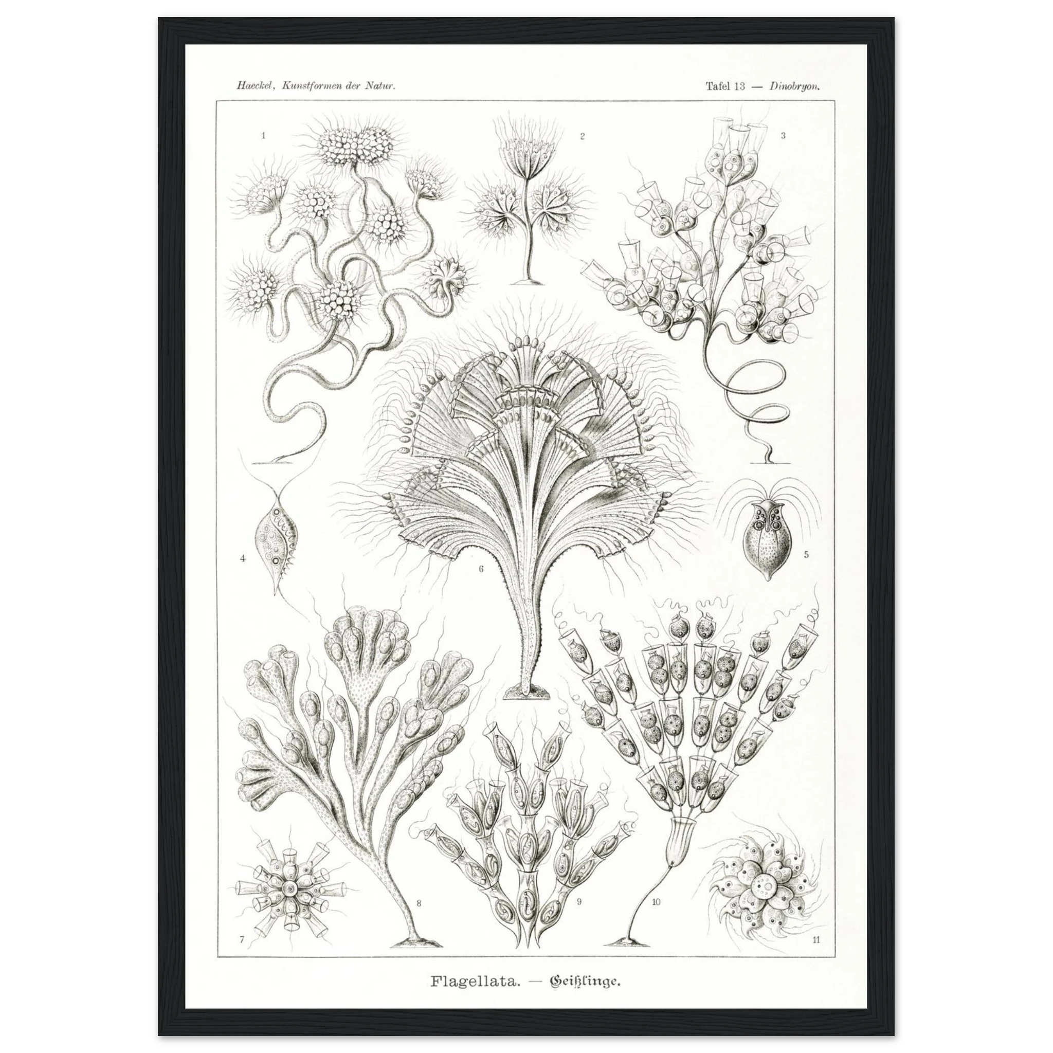 5ce77acb-b7aa-44d5-9fe1-8e4aedd11cc3