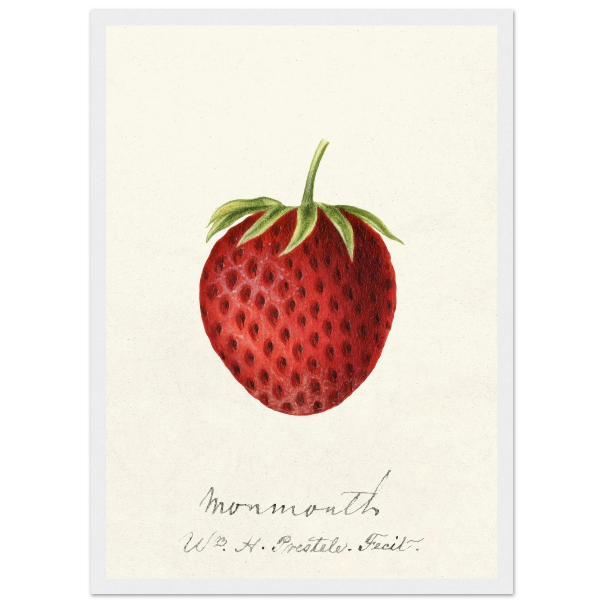 5d3d27fa-55e3-4d85-a5e8-cea1dd966e47