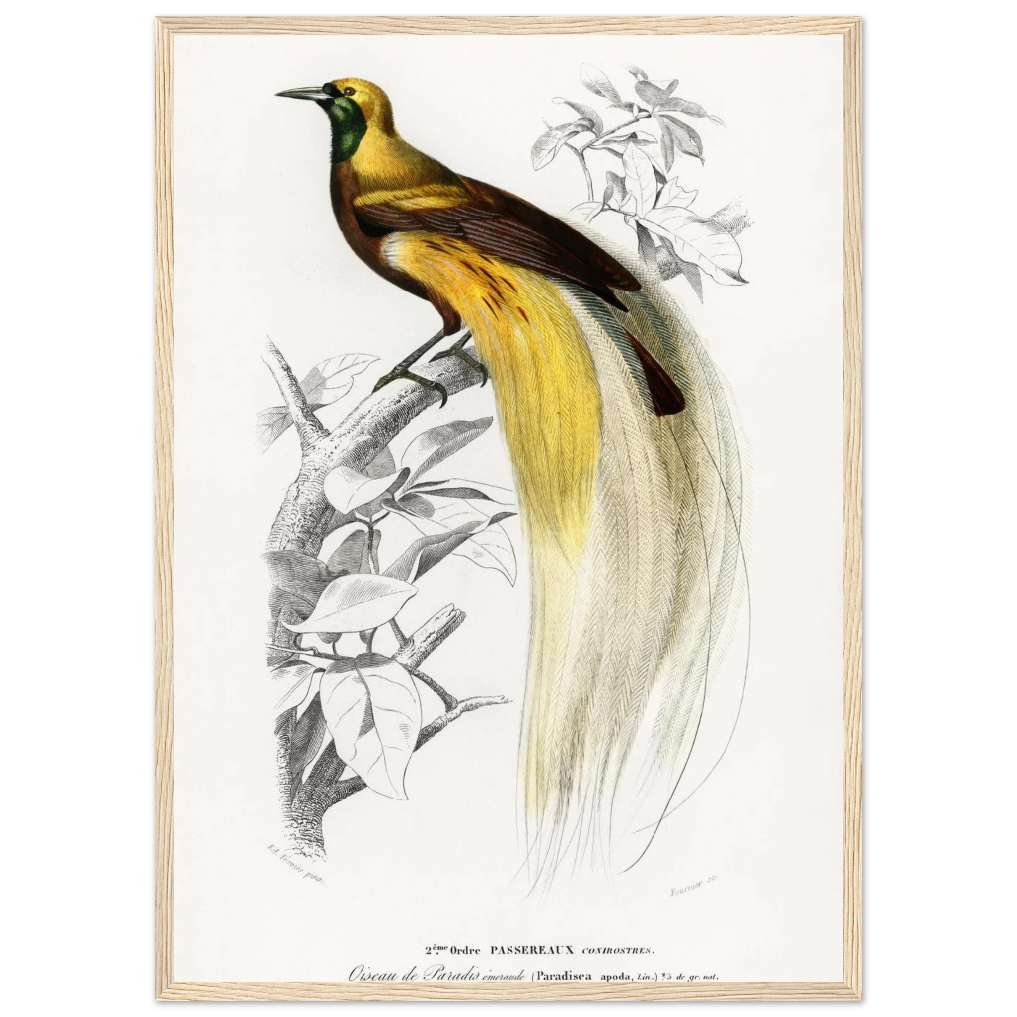 5d479aa3-730d-4794-806e-96e0bfee489c