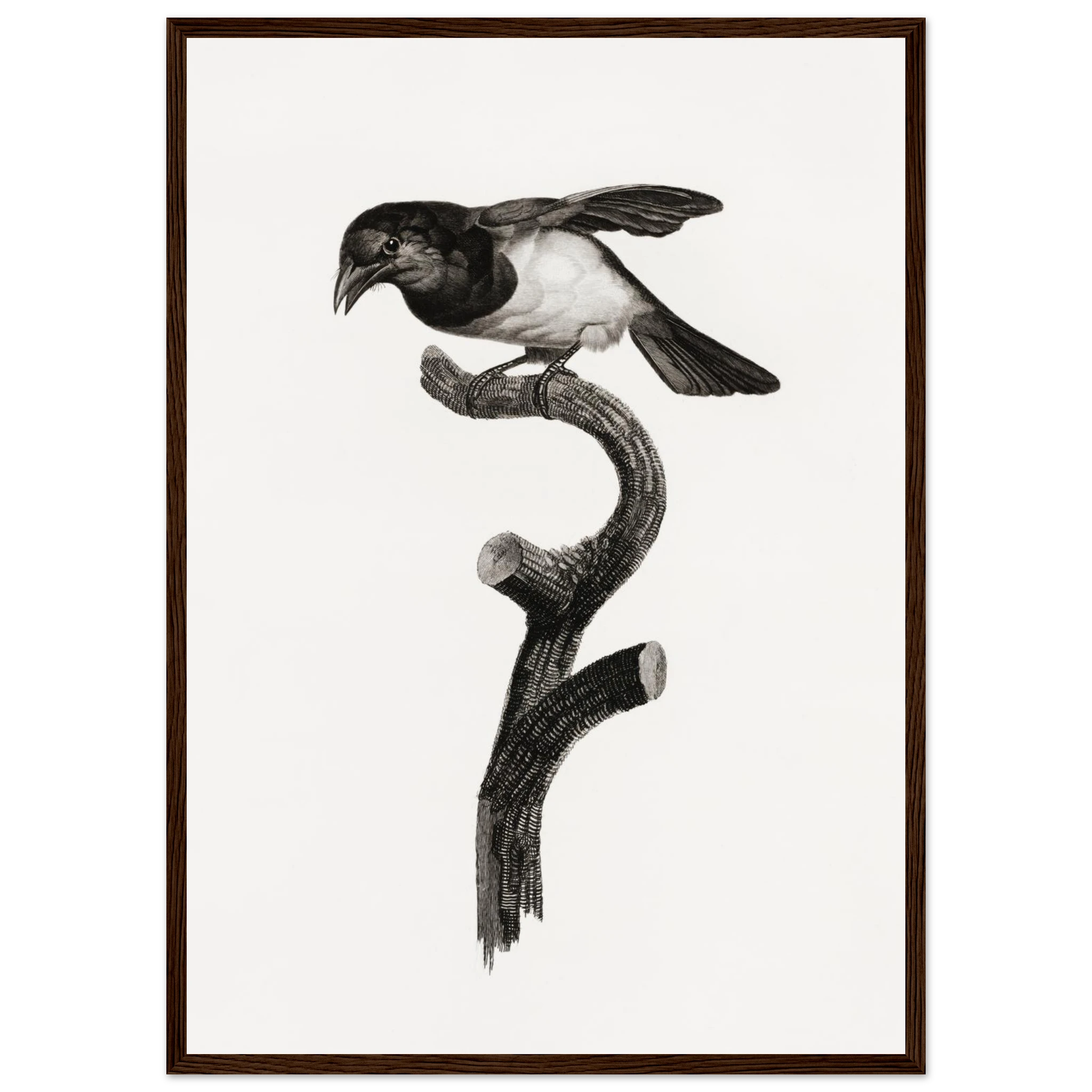 5d4d221b-6496-4058-92b0-007b3edc66e4