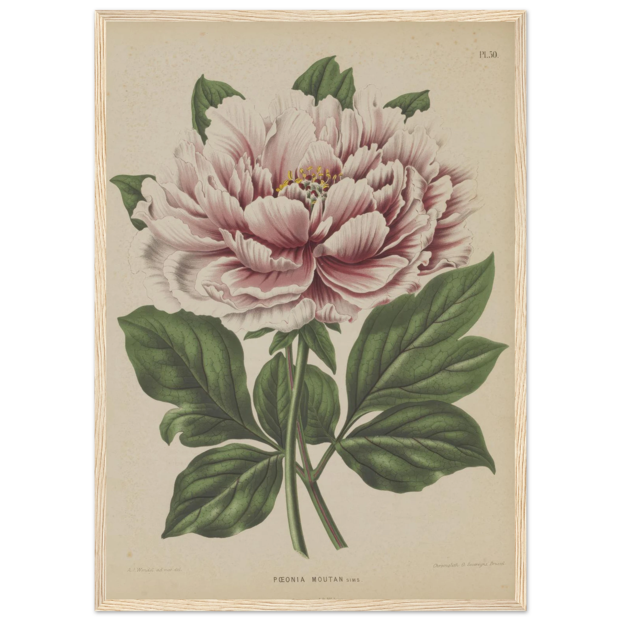 5d7c9963-caa1-4c2a-a0db-f451de5354c9