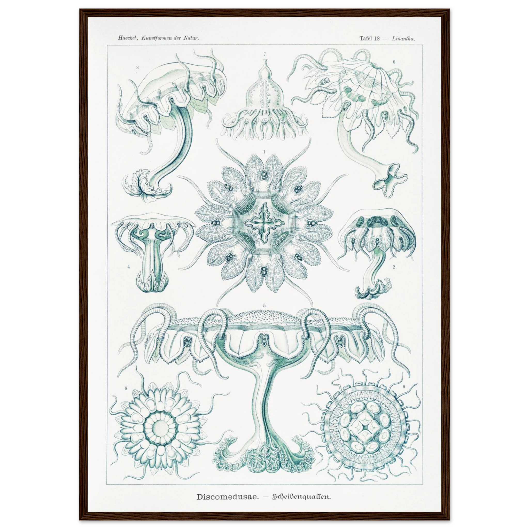 5d862f22-ef94-47d5-b4d6-36d8d5c21378