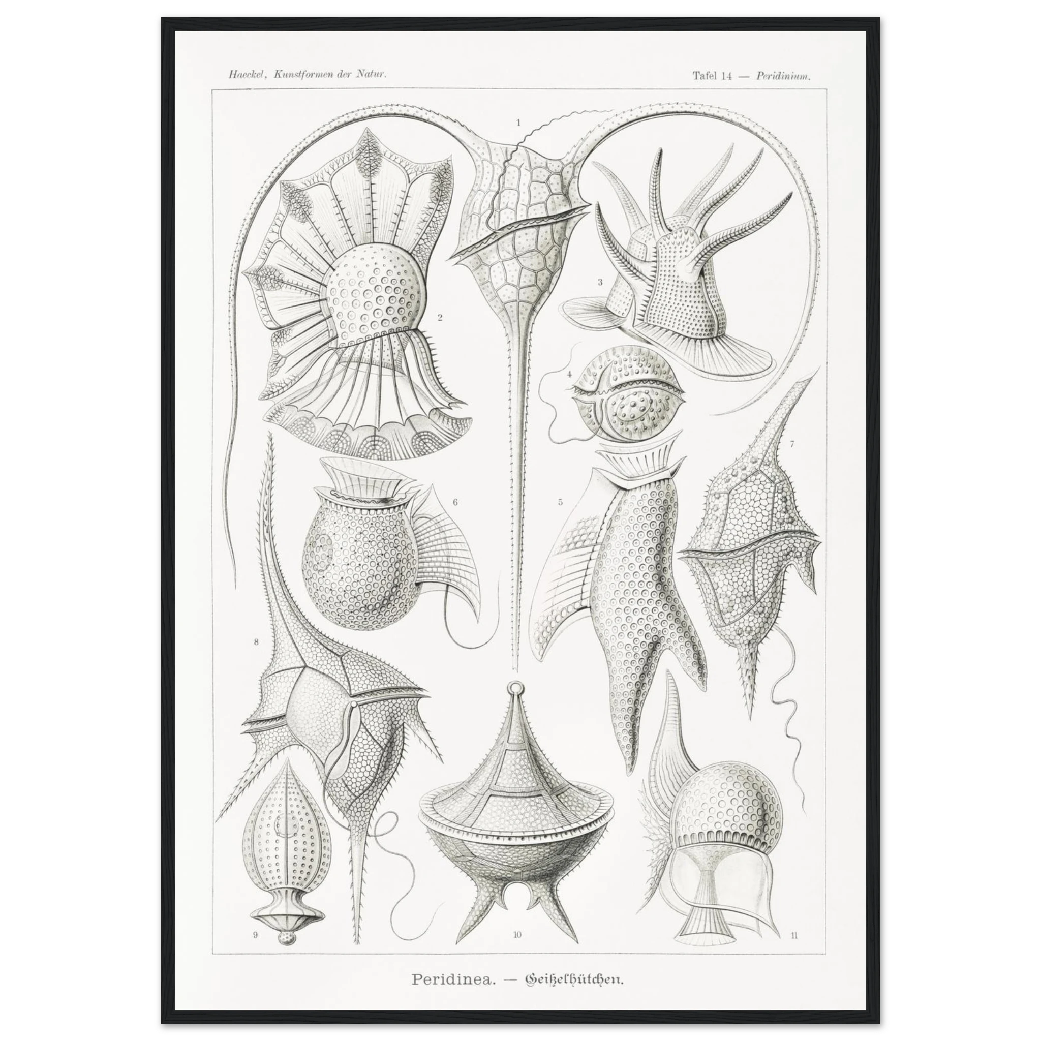 5d9dd251-8ba1-4582-ae2d-96dfd5f2cb74