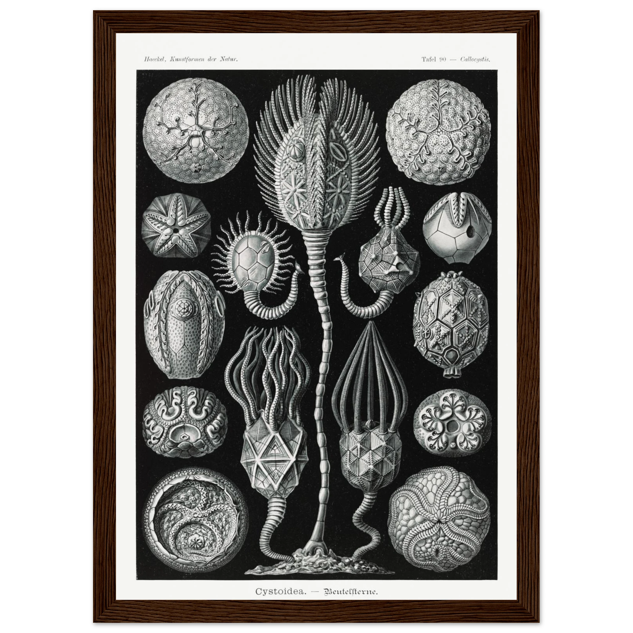 5e046637-c374-4c75-ac45-a8b6607f9125