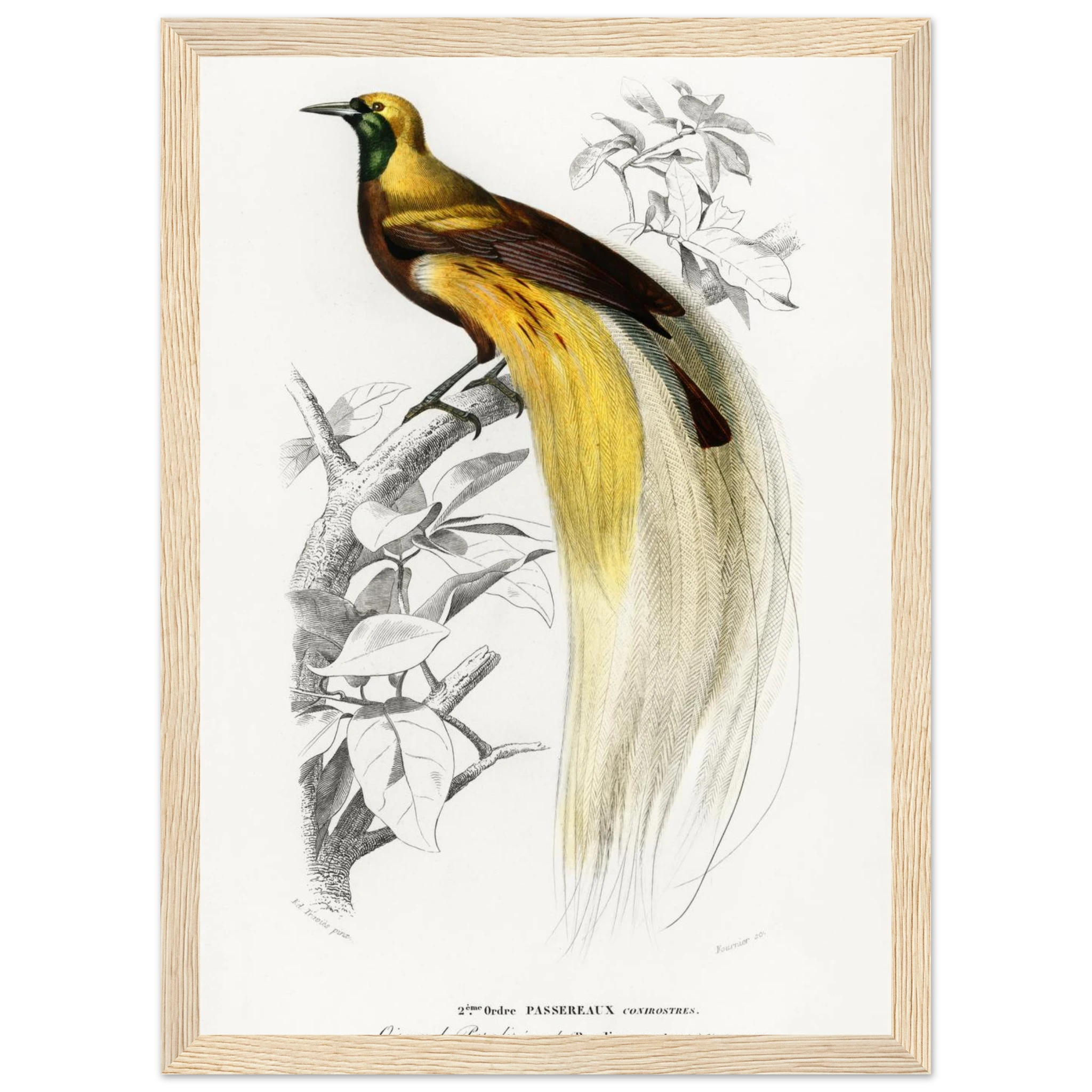 5e50caad-b132-4a0f-a2e1-893fd01c4182