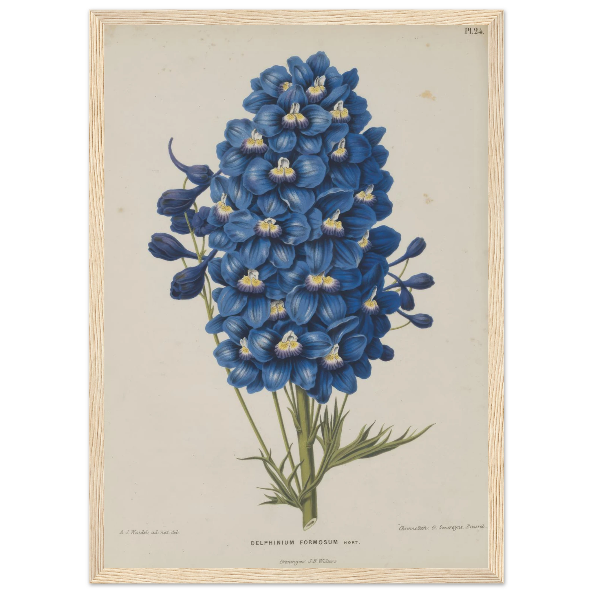 5e6e8fac-94a2-4078-bbbc-d60c373b0e5e