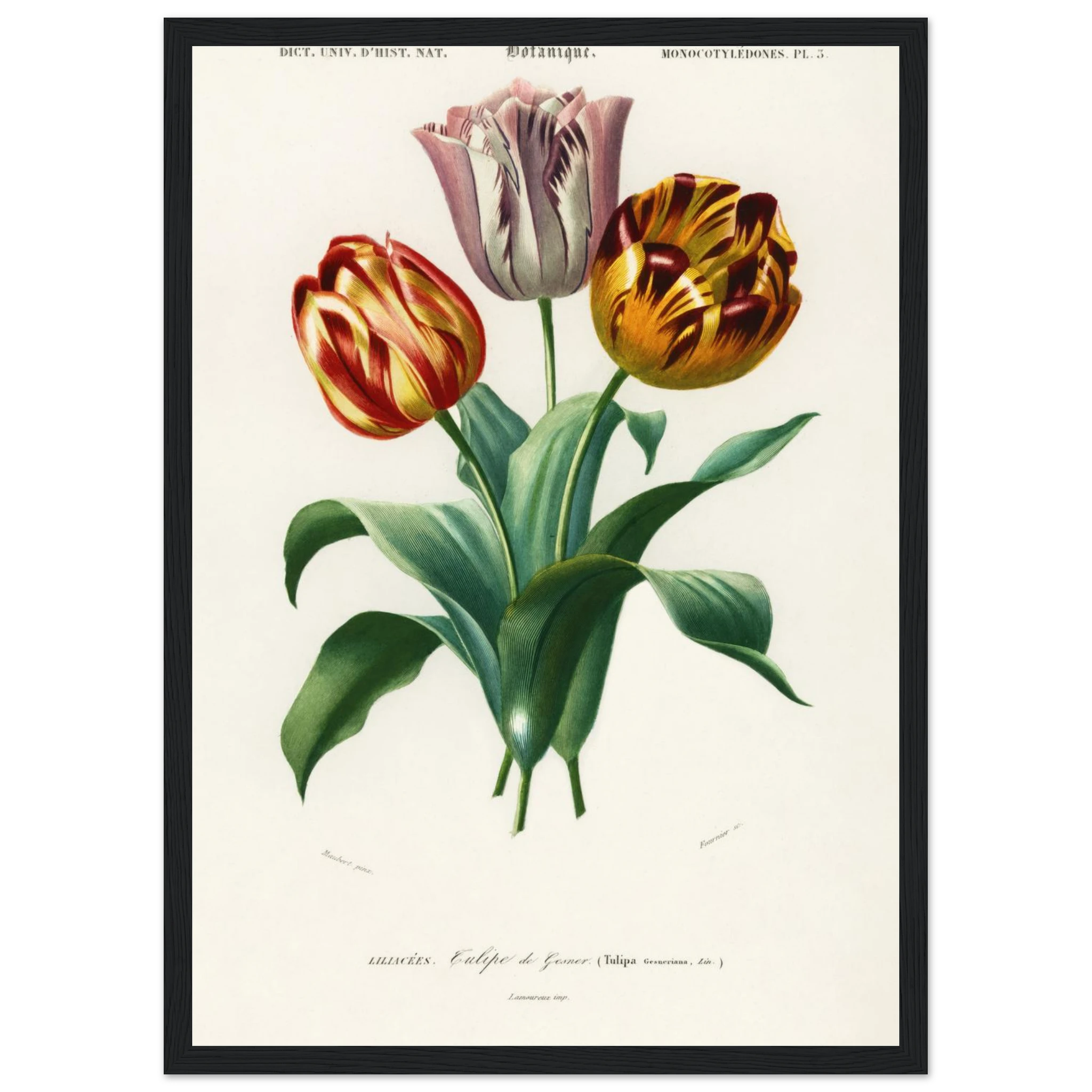 5ef815e0-d6ac-4e31-ad3f-88c4d7525497