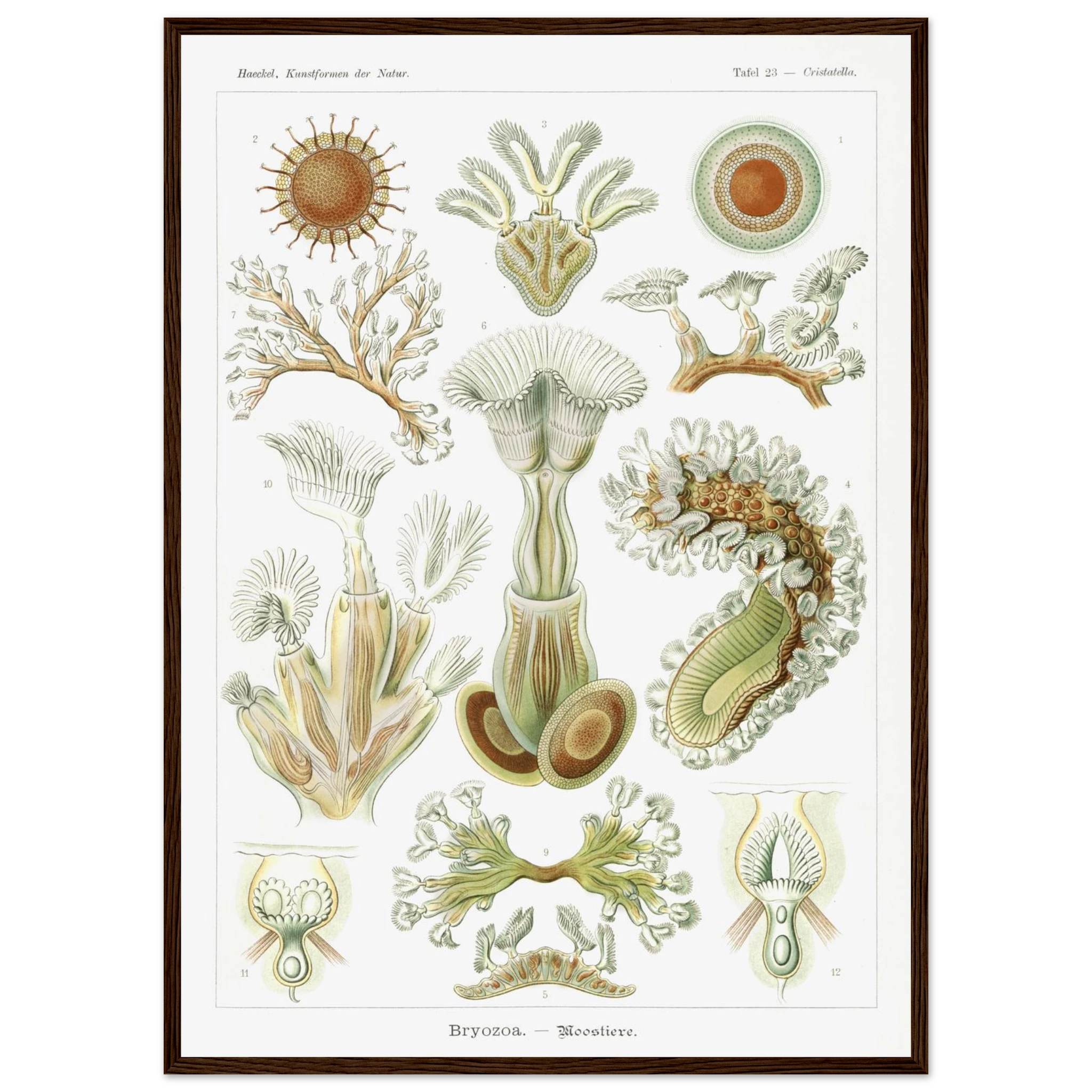 5f1db24a-3e2d-4fc8-b745-a153d46e30ed