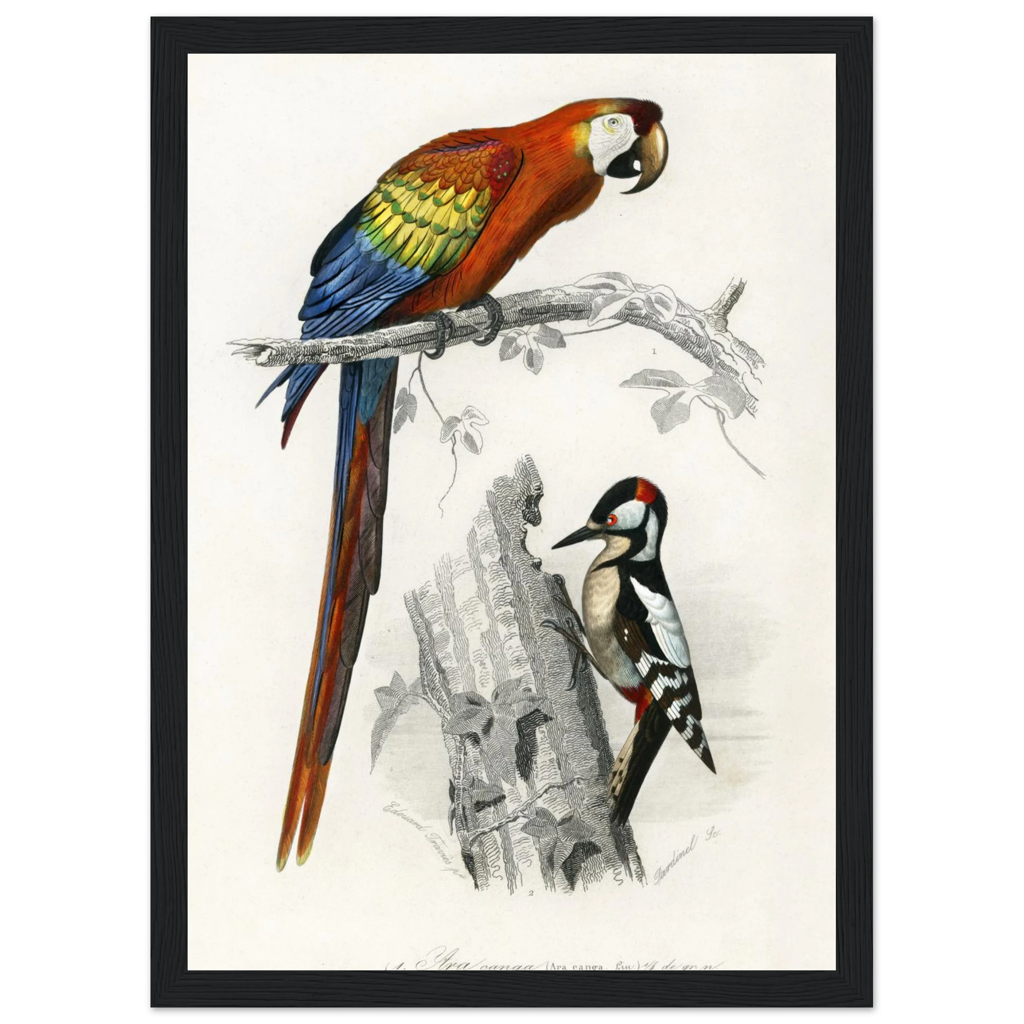 5f3cf5b2-c24c-433a-825c-4300c6a3abf9