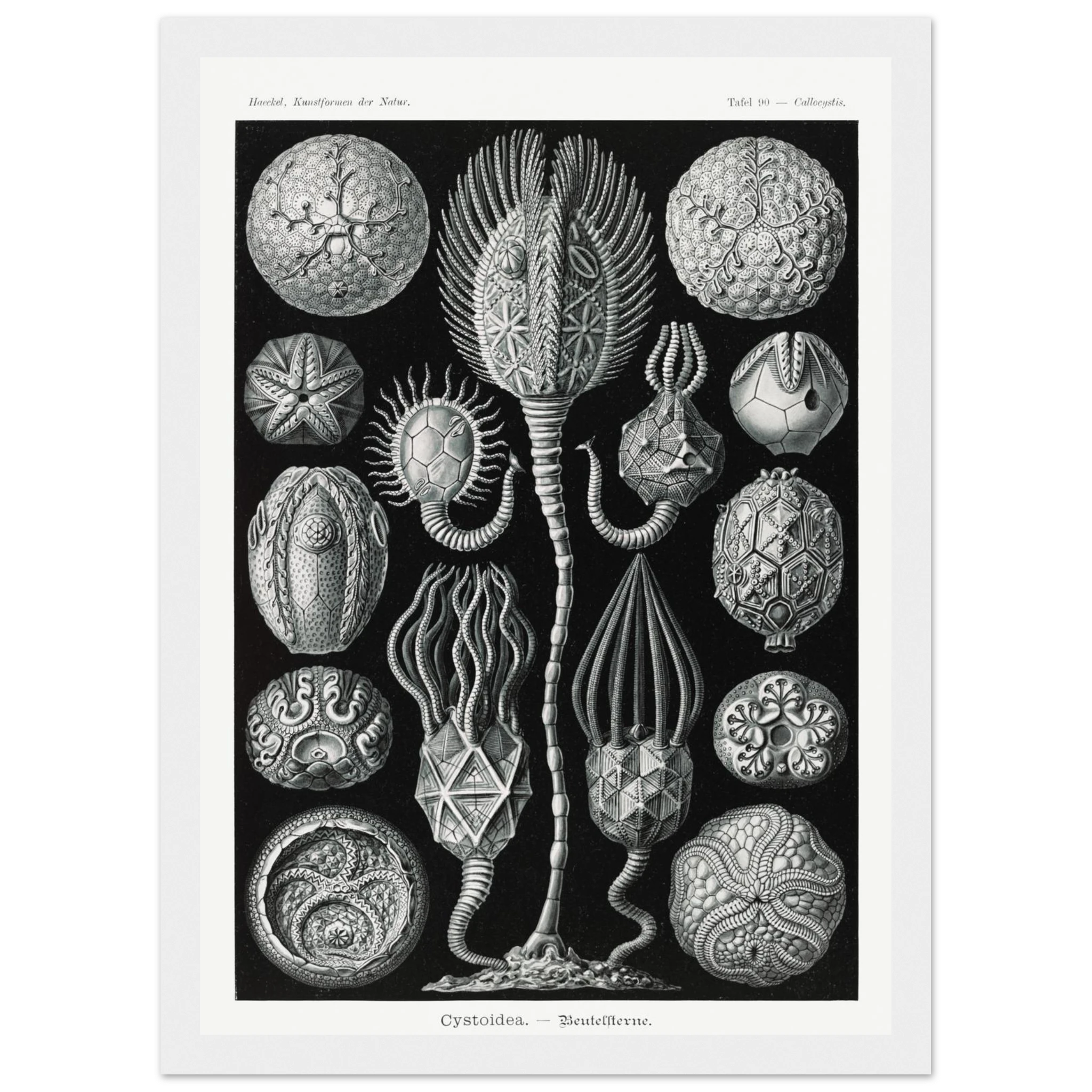 5f837c1f-0526-4706-b9a6-e9e319b1184d