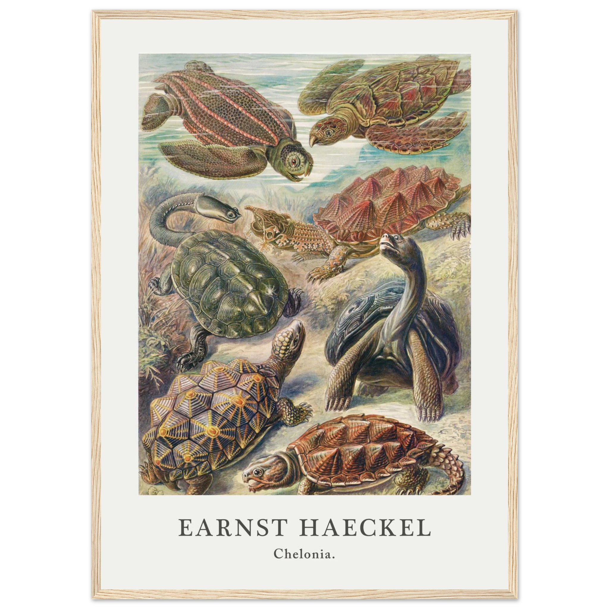 5fb58383-c380-406b-8bc1-302f27bcabd6