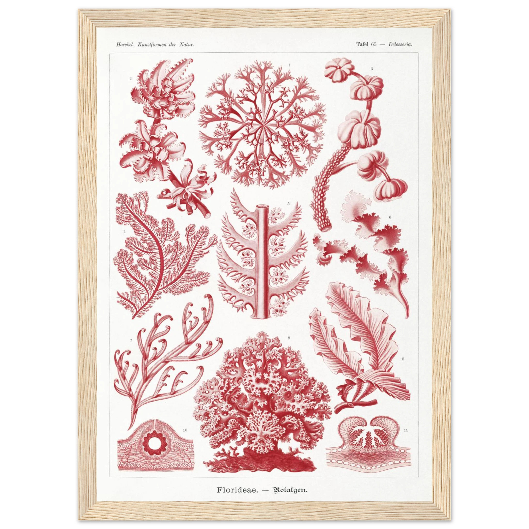 60006f39-e909-4319-88c0-20f42f2d9987