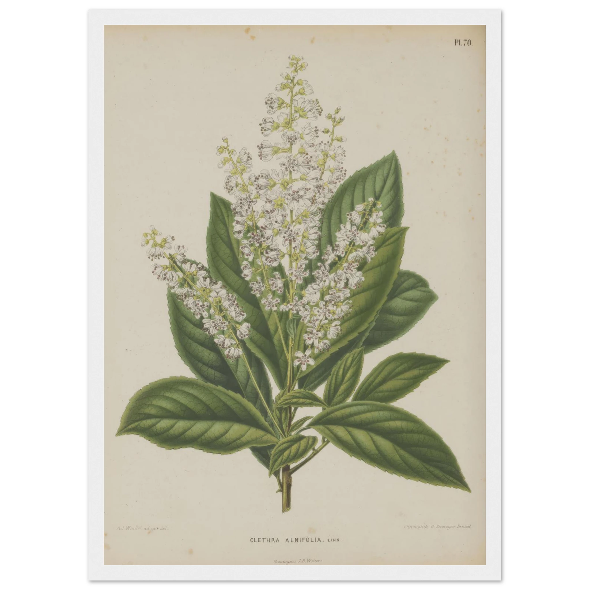 6004239d-1083-4a86-a9a5-95e5f54f6030