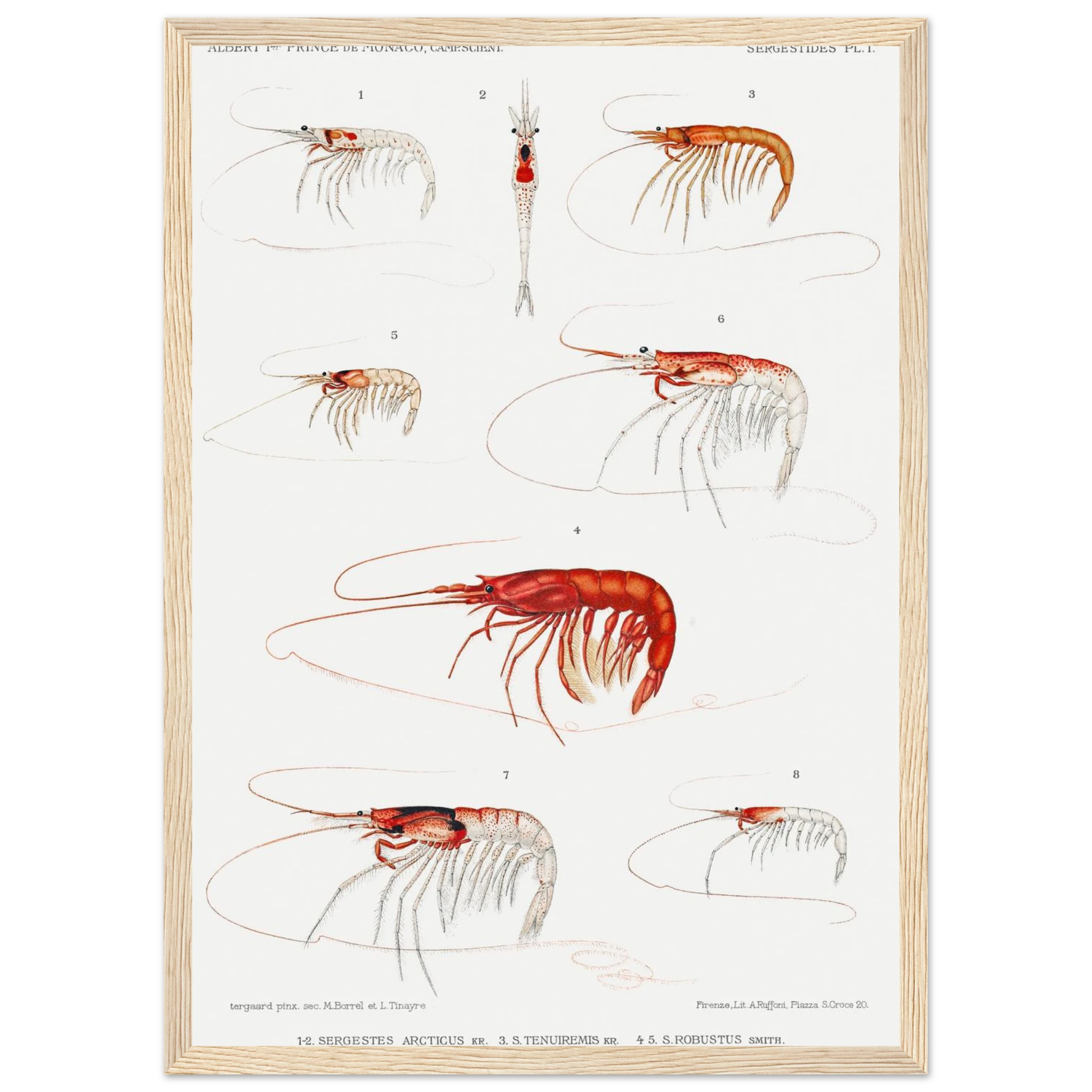 6013f05f-4048-47cb-b44f-7ec1a9239b1b