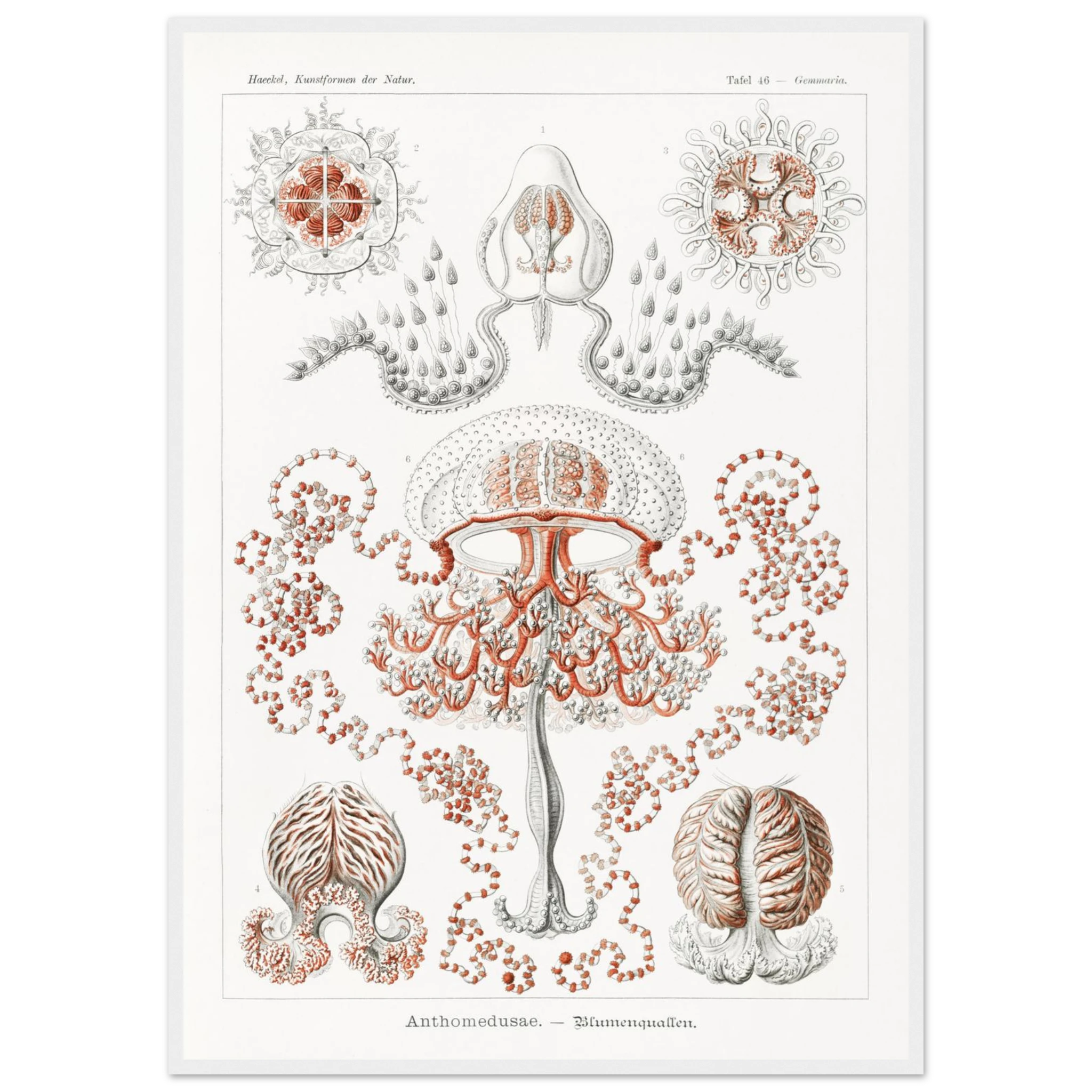 60157198-4969-4af6-81bd-6a4912d8b3b7