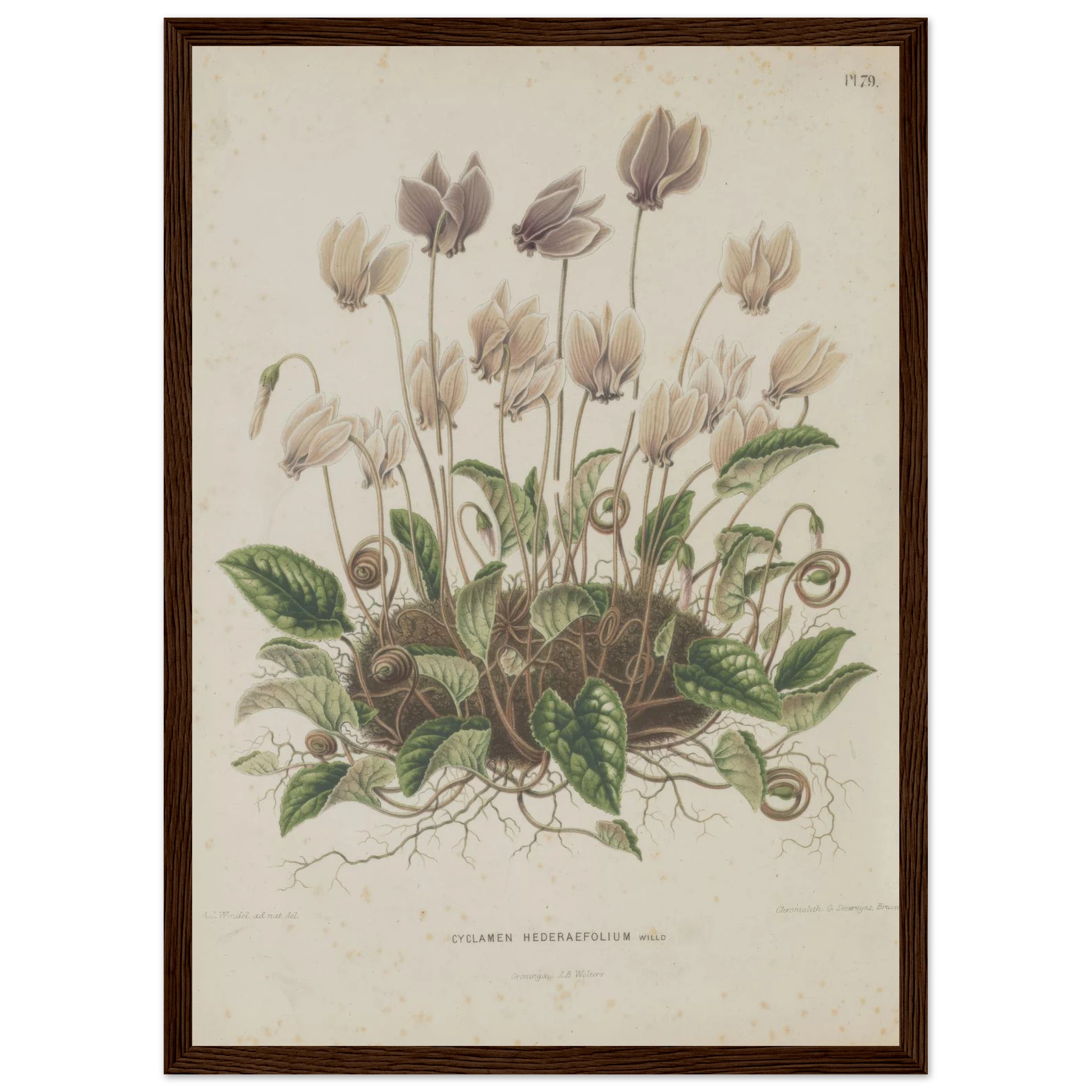 60a2386a-f8e4-4de7-b21a-3c794851efc7