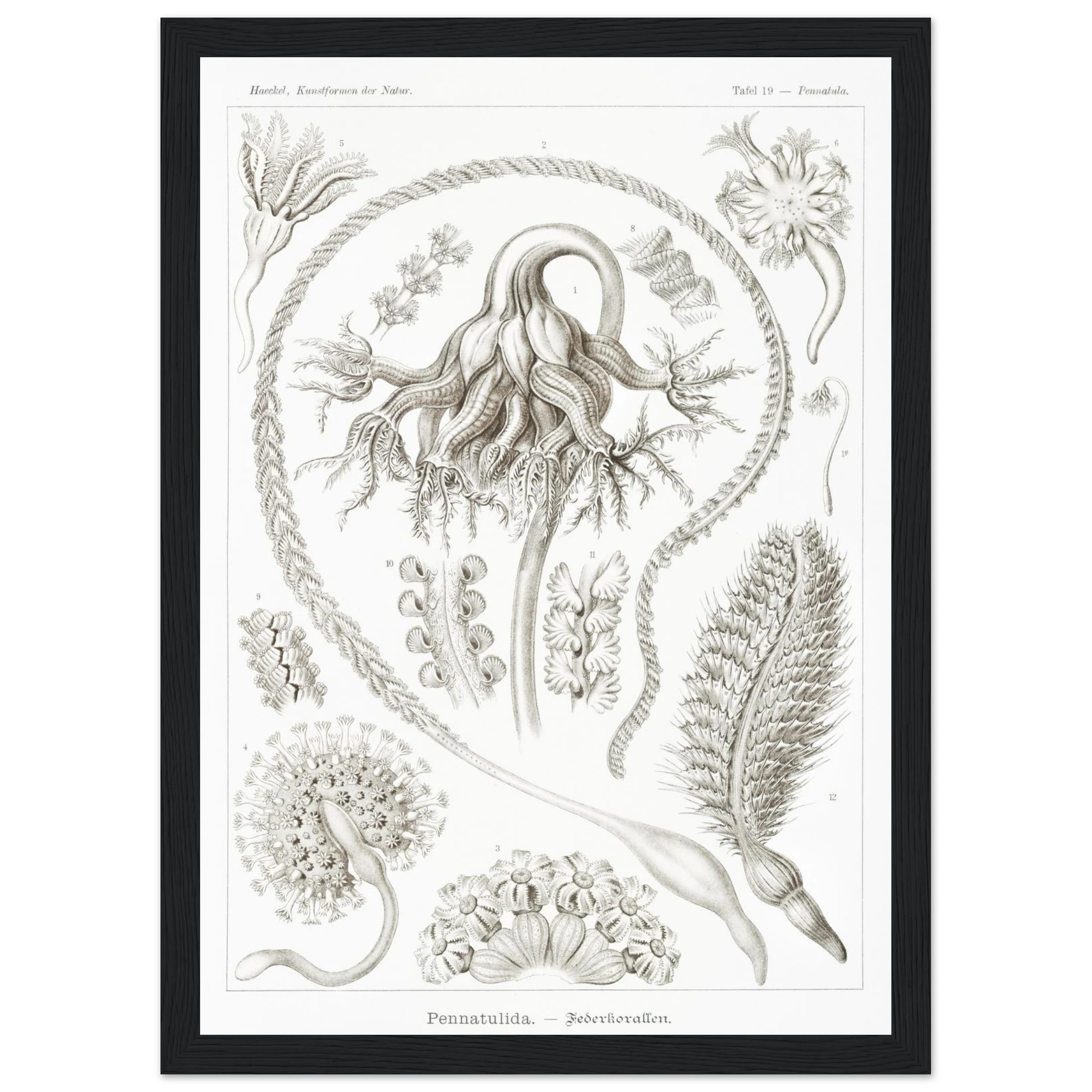 60b884db-29b4-496a-90f4-0f356aac27c3