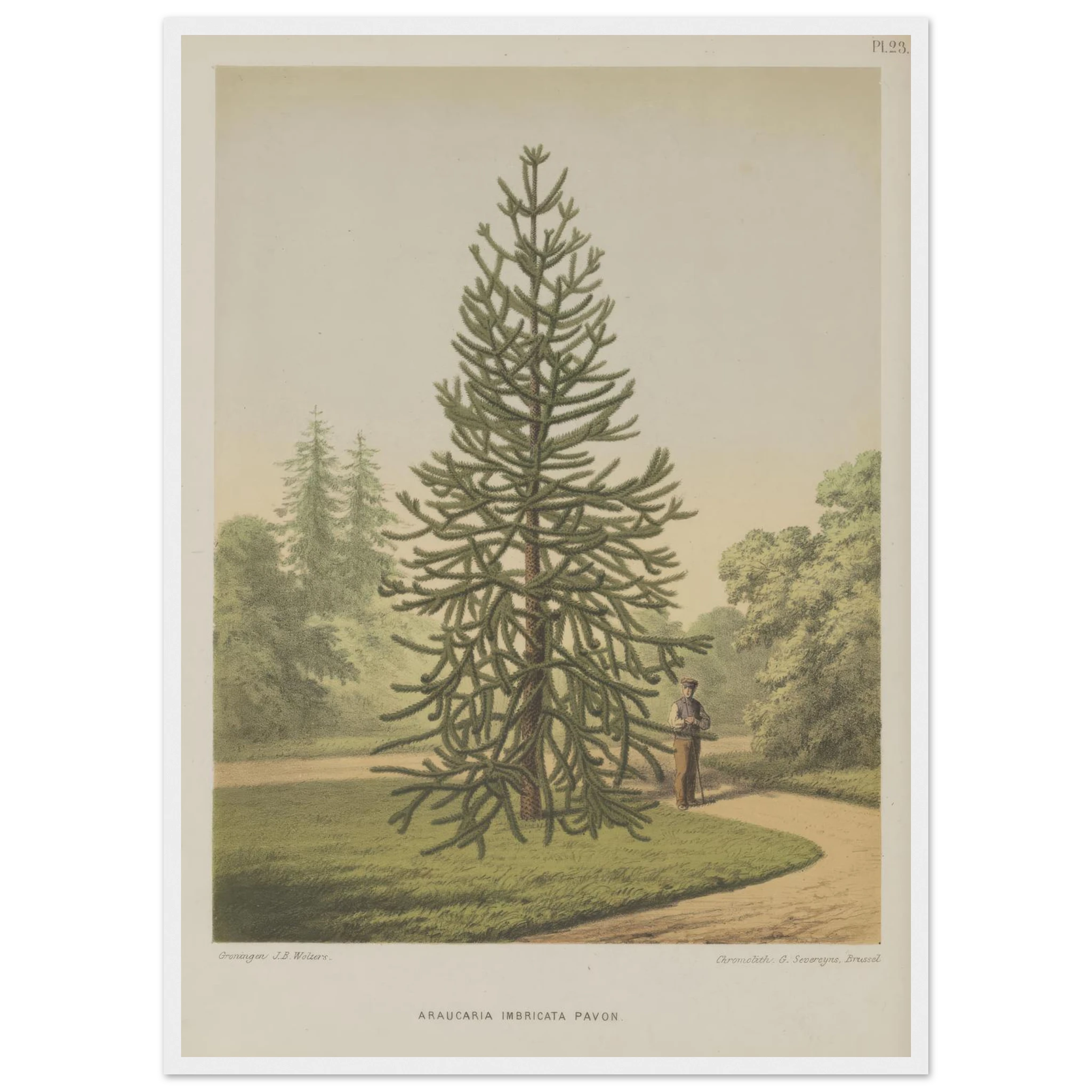 60d85b26-e8c6-4037-b55d-6d6ef20decf1