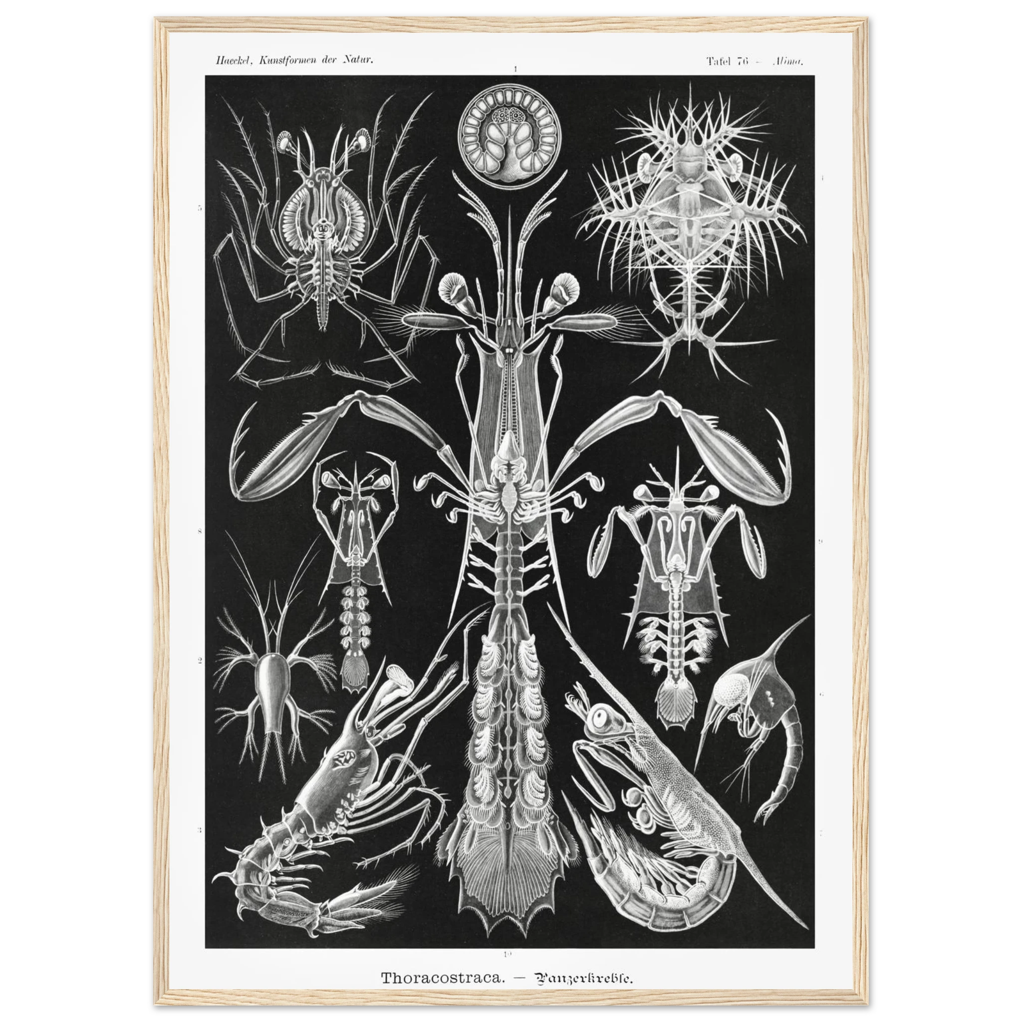 6164a1ed-1aed-4a53-9325-2841a8f4e905