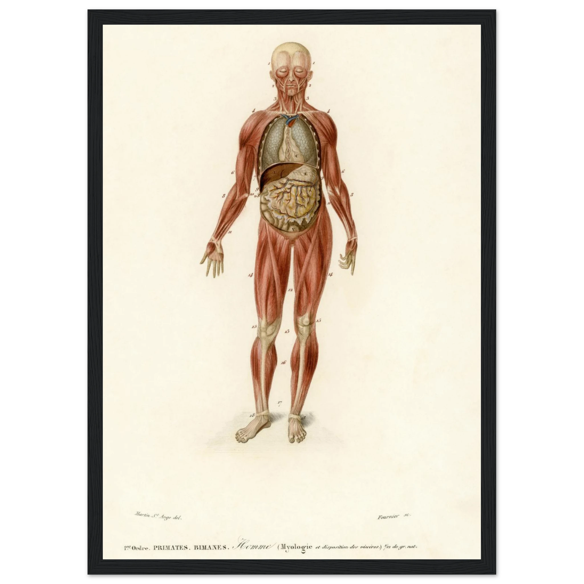 61c729b8-dc2e-42be-868d-a362c1280270