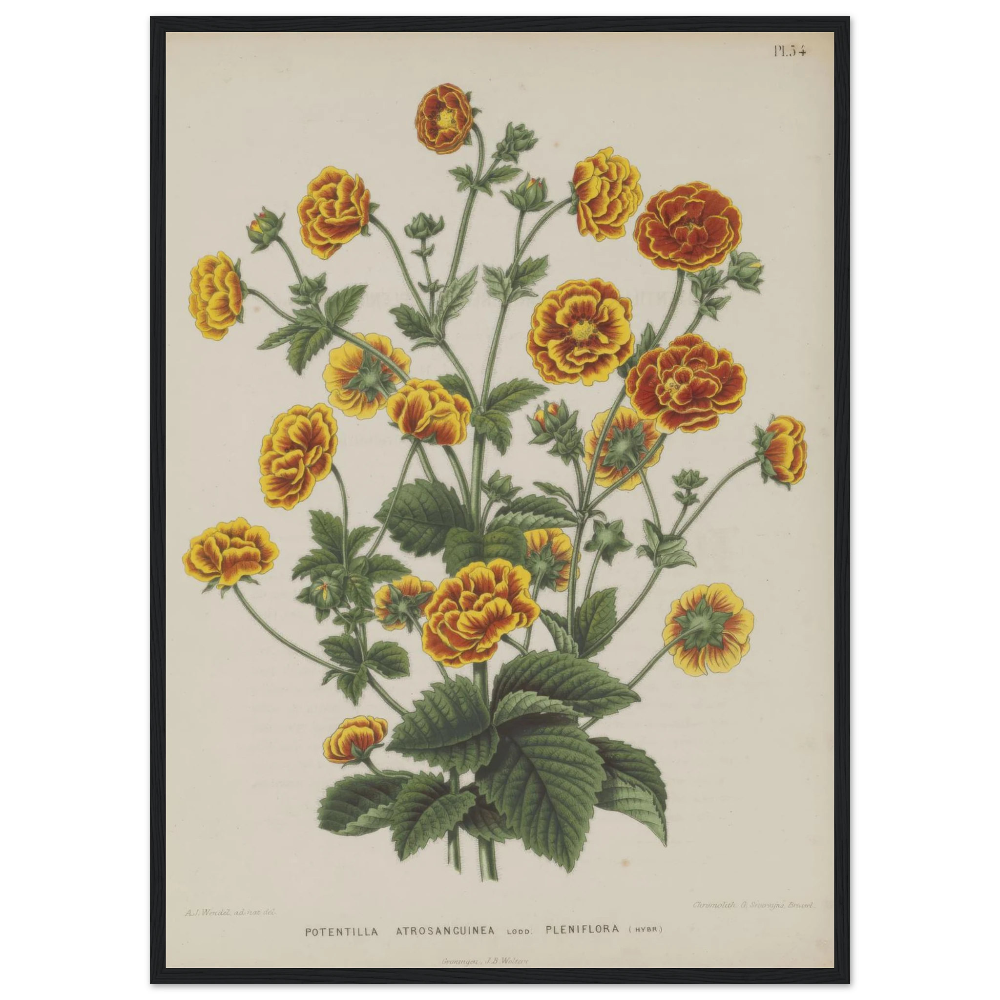 61d778b9-6e56-4660-9c43-0d6c5eaae88b