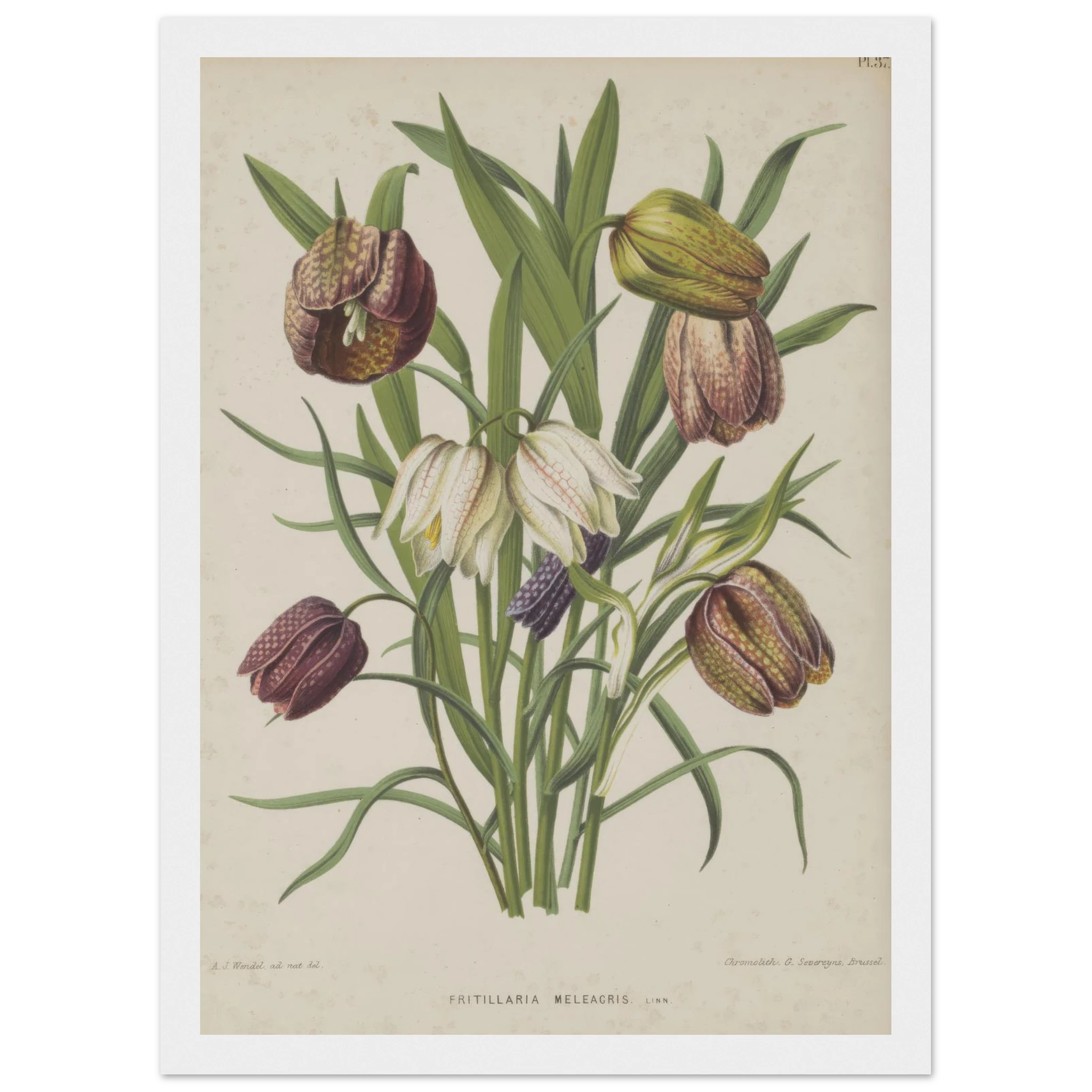 6218dc78-7ab0-4125-a138-8d9662295a29