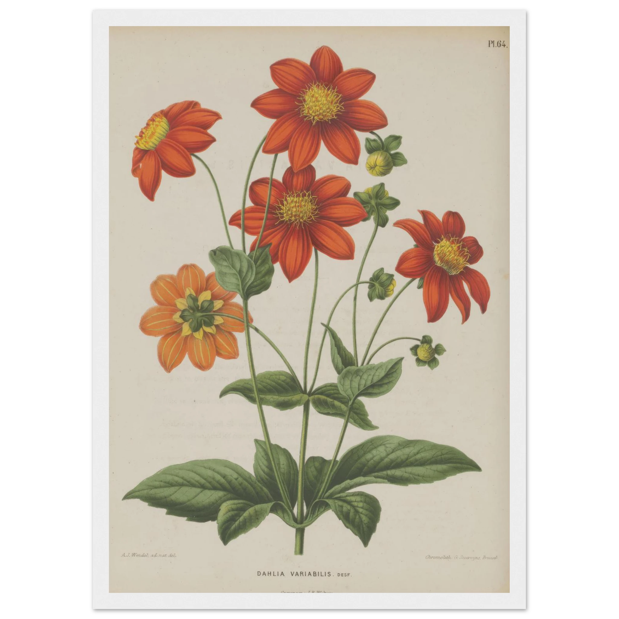 6315b122-aaac-46fb-b77b-056bb15d138a