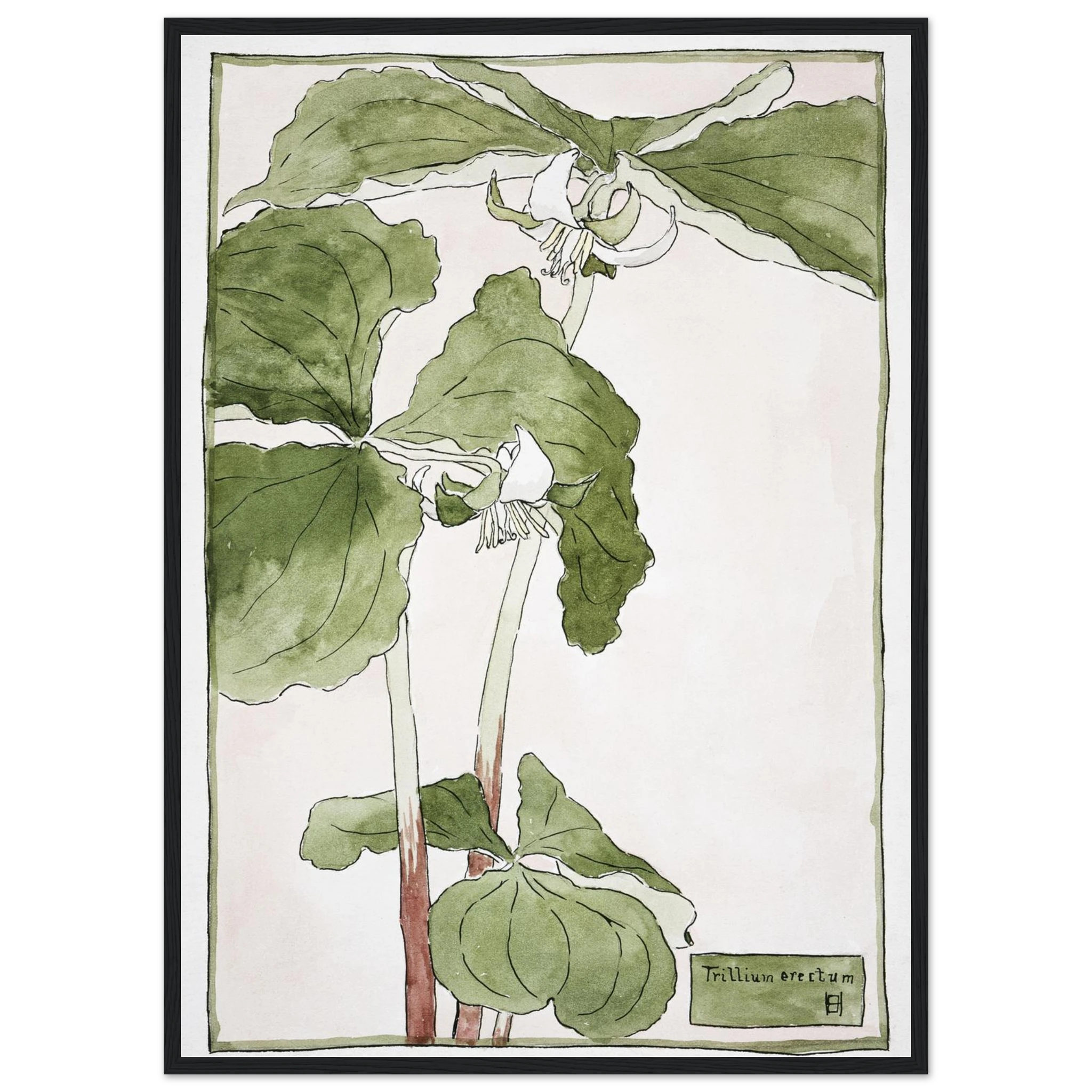 631e6c9a-8a55-4c49-939b-037aaa768517