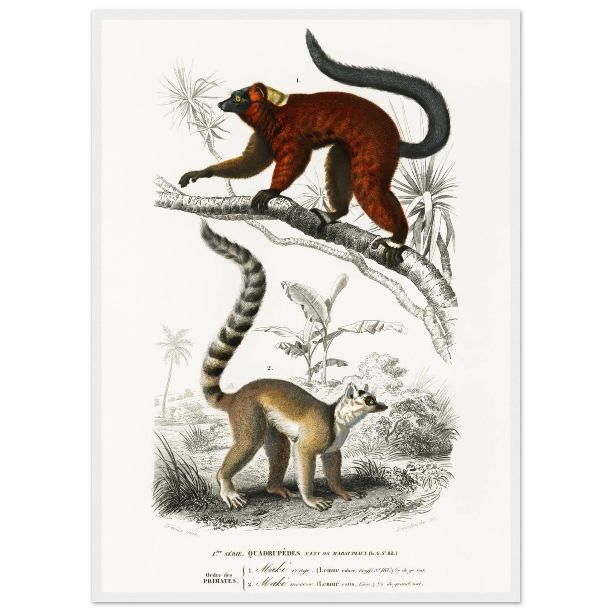 63233365-63fa-41b2-b6df-df335ce8f769