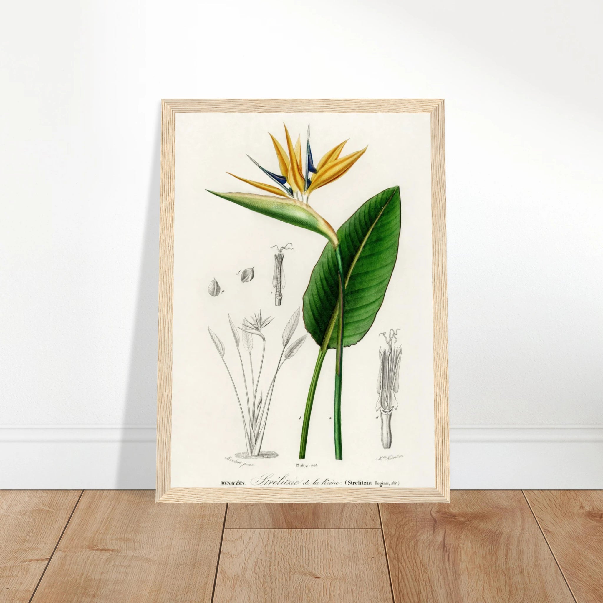 63589fc7-6e33-4373-a96d-fa45f05ca758