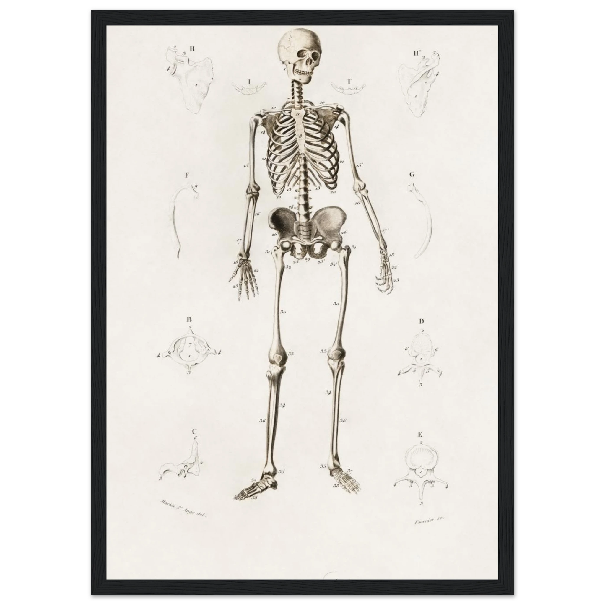 63698ac2-a4f6-43a9-9671-d952cd4a0ad9