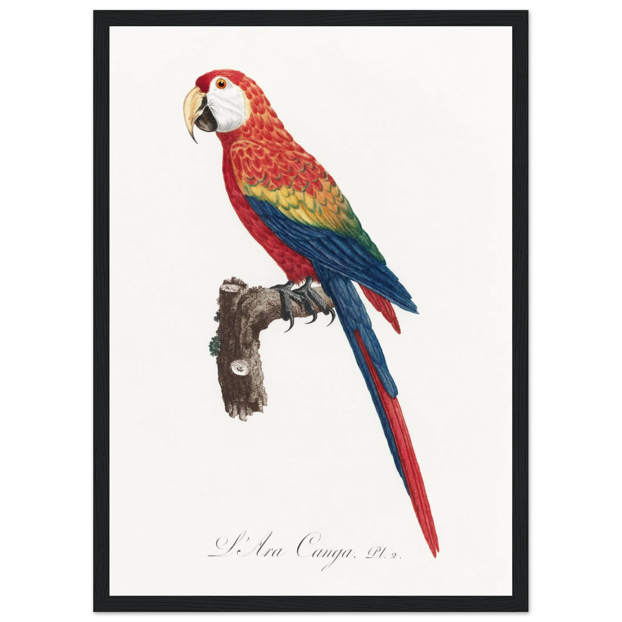 63c30a0b-6222-4914-9493-992e33dd8294