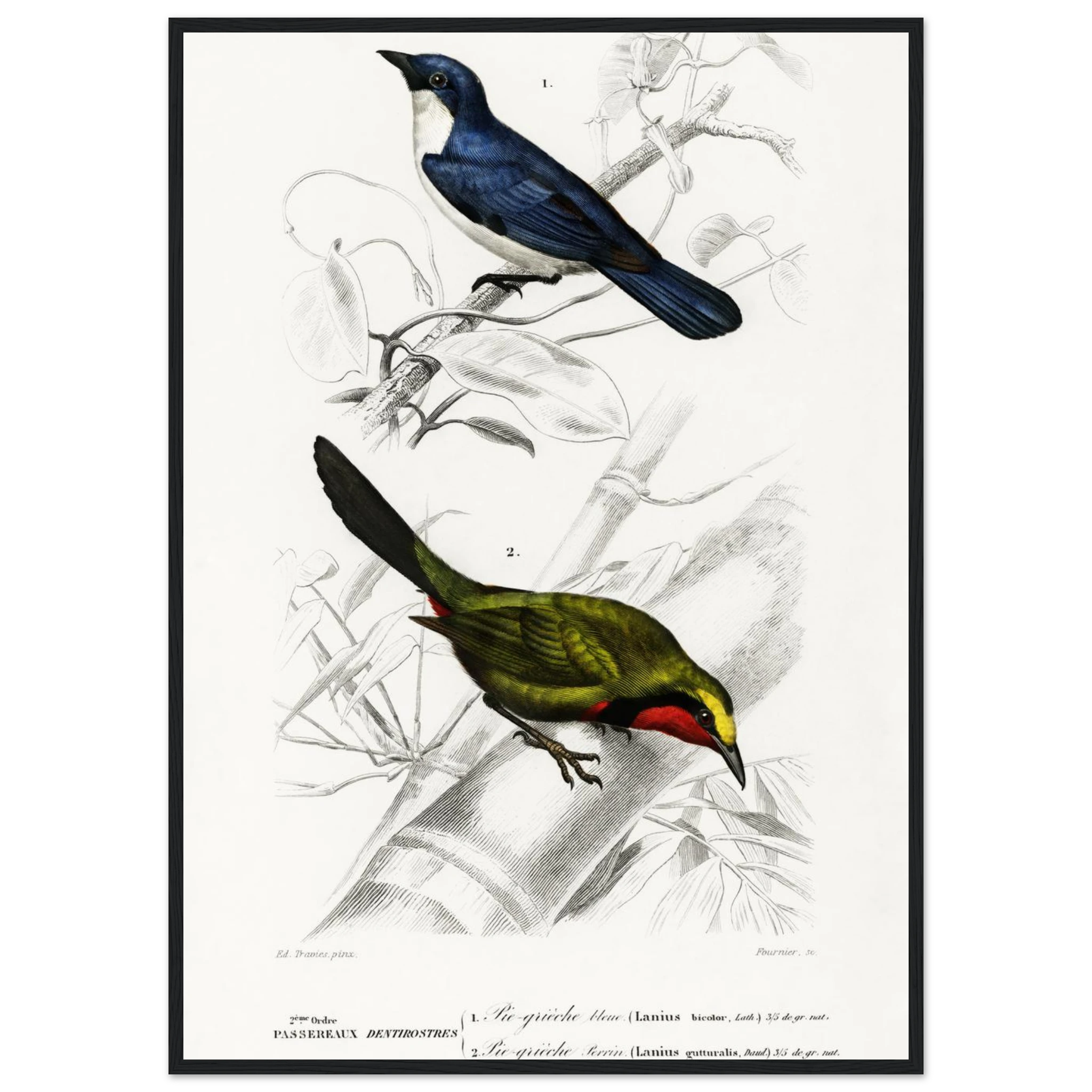 641bea29-e095-4113-9196-d0f20cdad47a