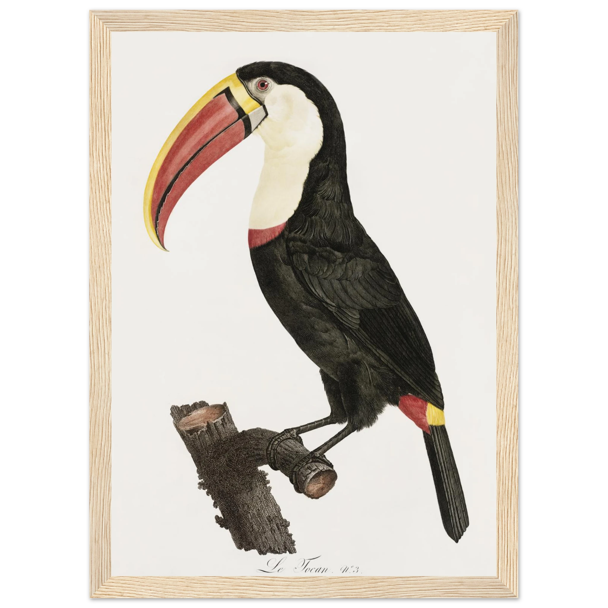 645ad544-4f68-40a5-afab-3b040116b1b4