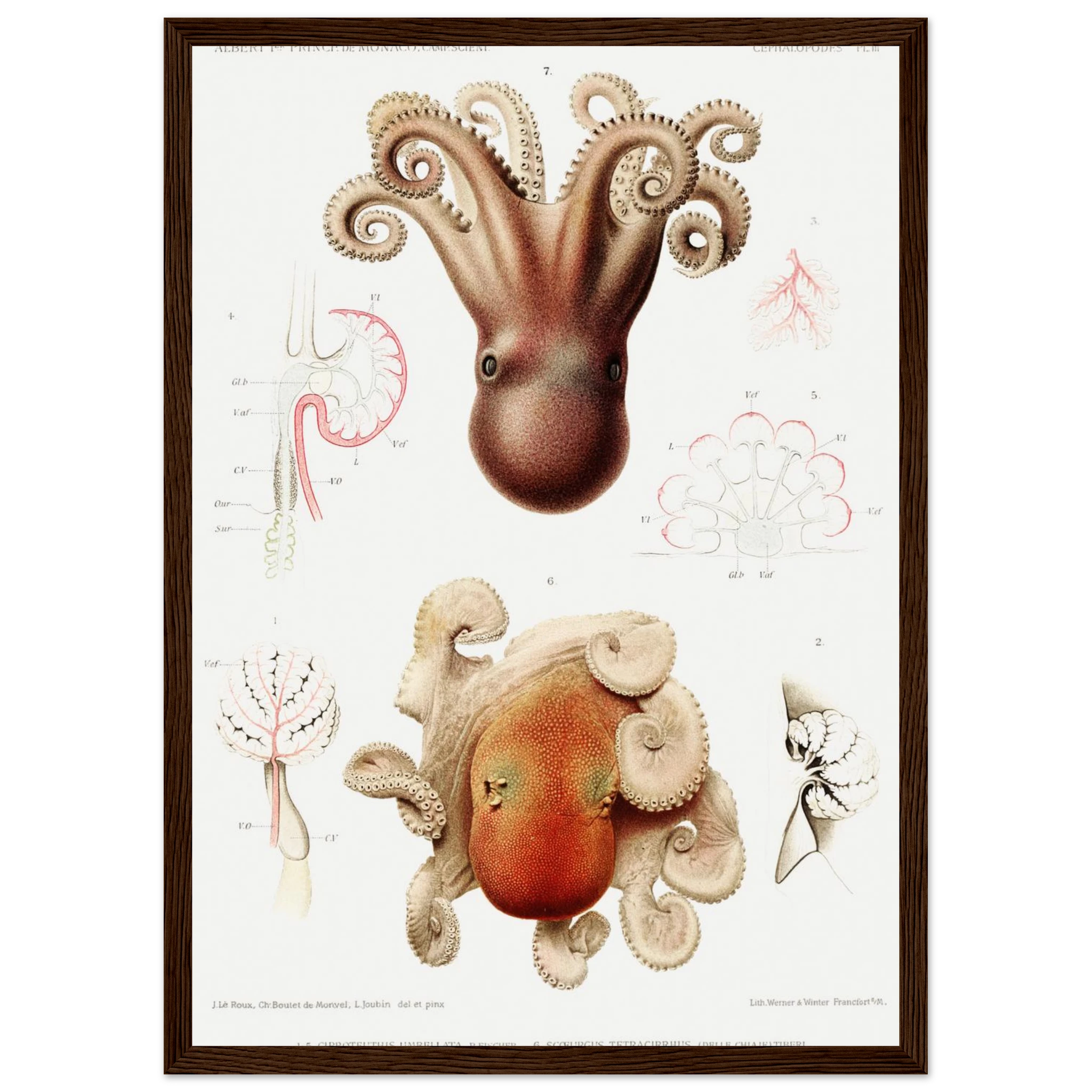 646da93b-78e4-45d0-bc76-bc33cbb9bdb0