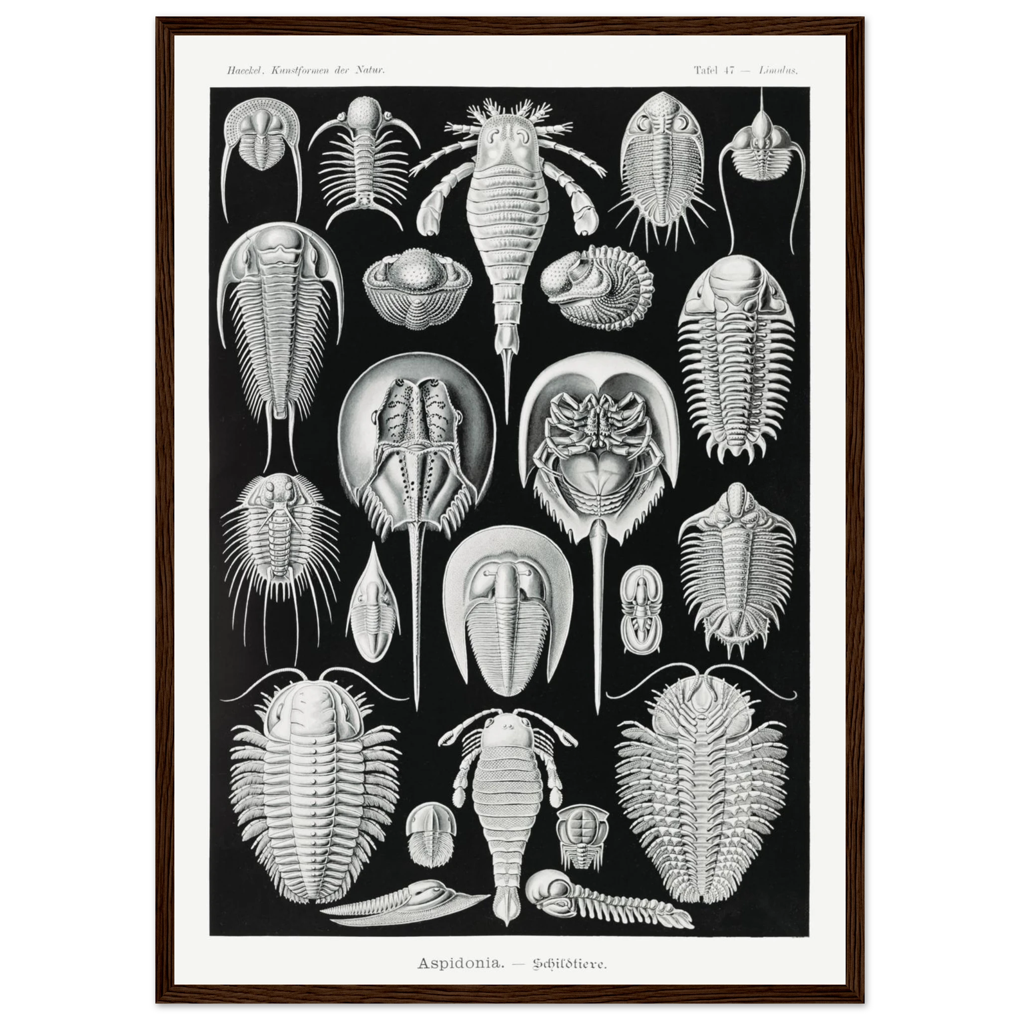 647d8536-5649-4175-826c-dd1fd62a8e6e