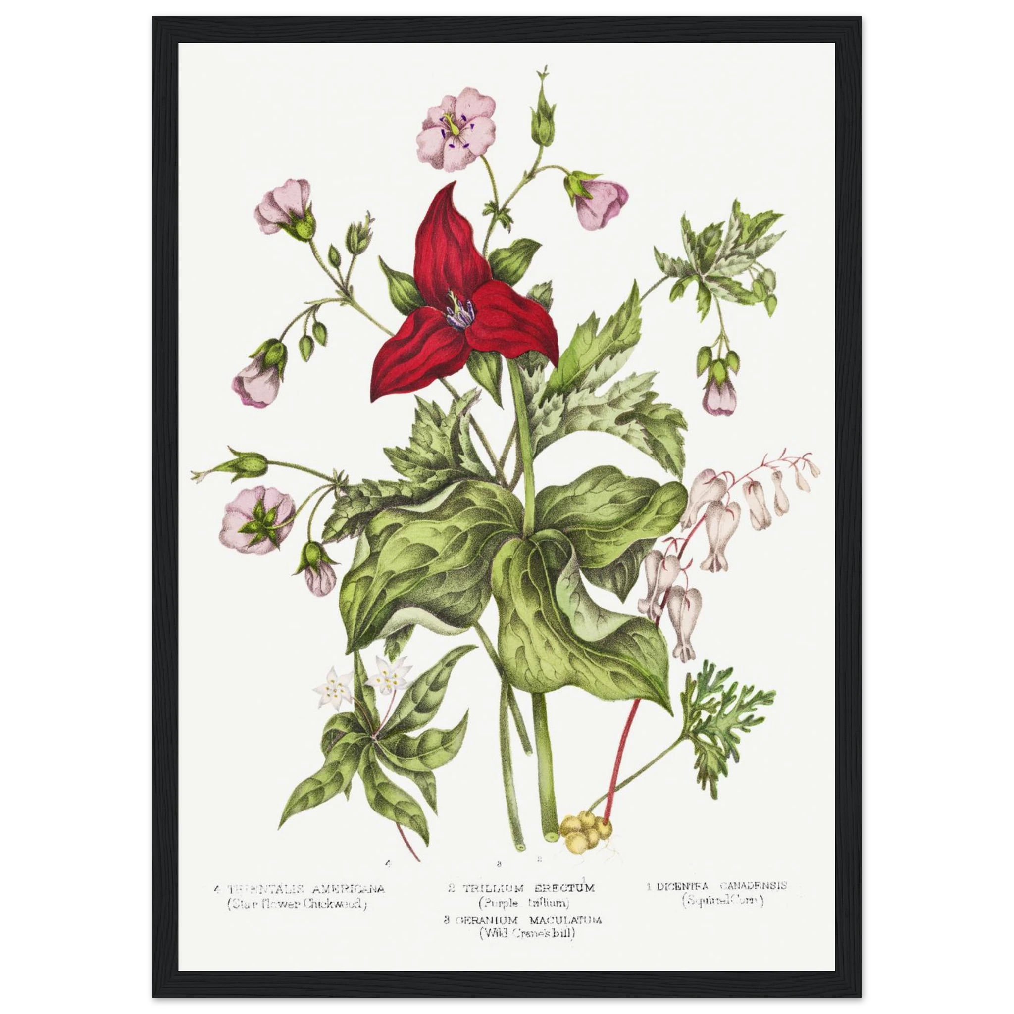 648cf3d4-9223-42c4-9244-81e546f01c39