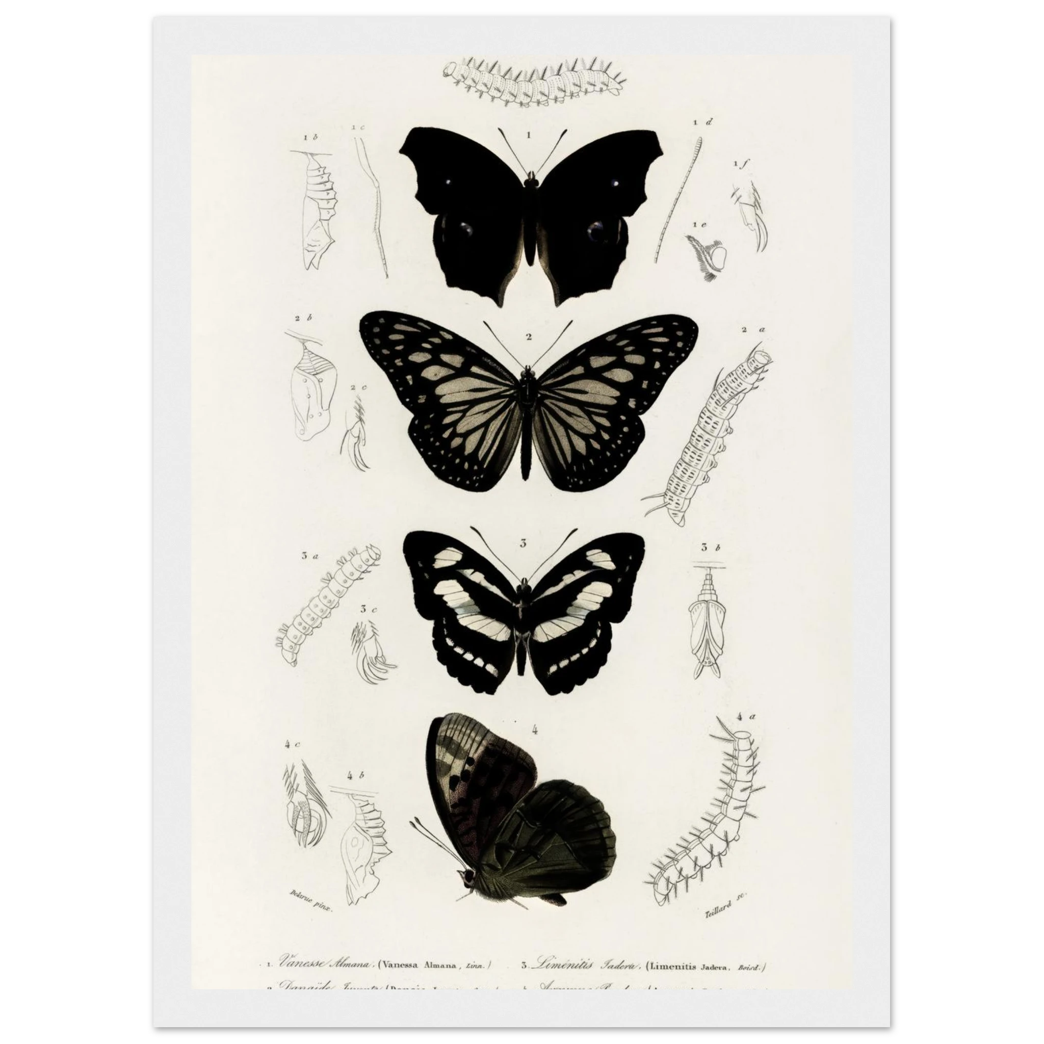 64a354d1-4b01-40f7-8856-be3cd791b8c5