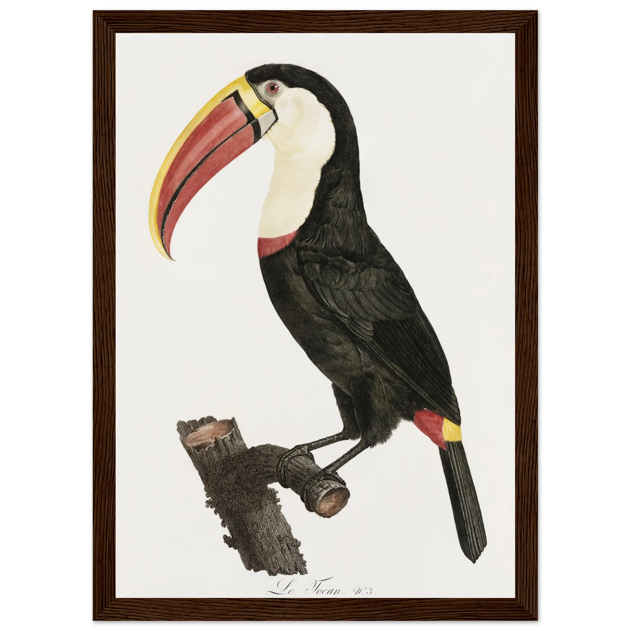 64a86793-1f0e-4cec-a923-368568d72b6d