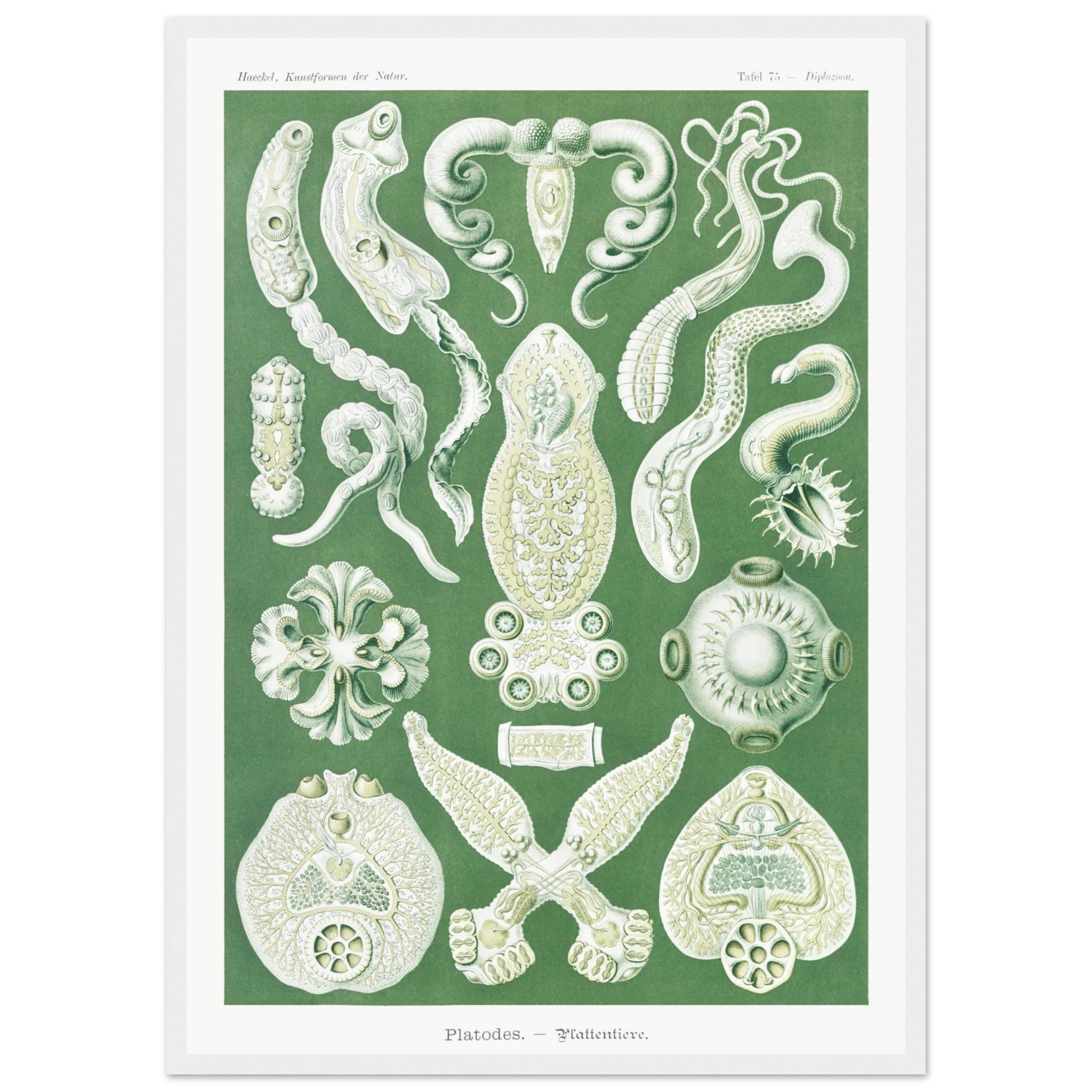 64c6cc4d-9a0b-4988-a0be-dc1da4d91172