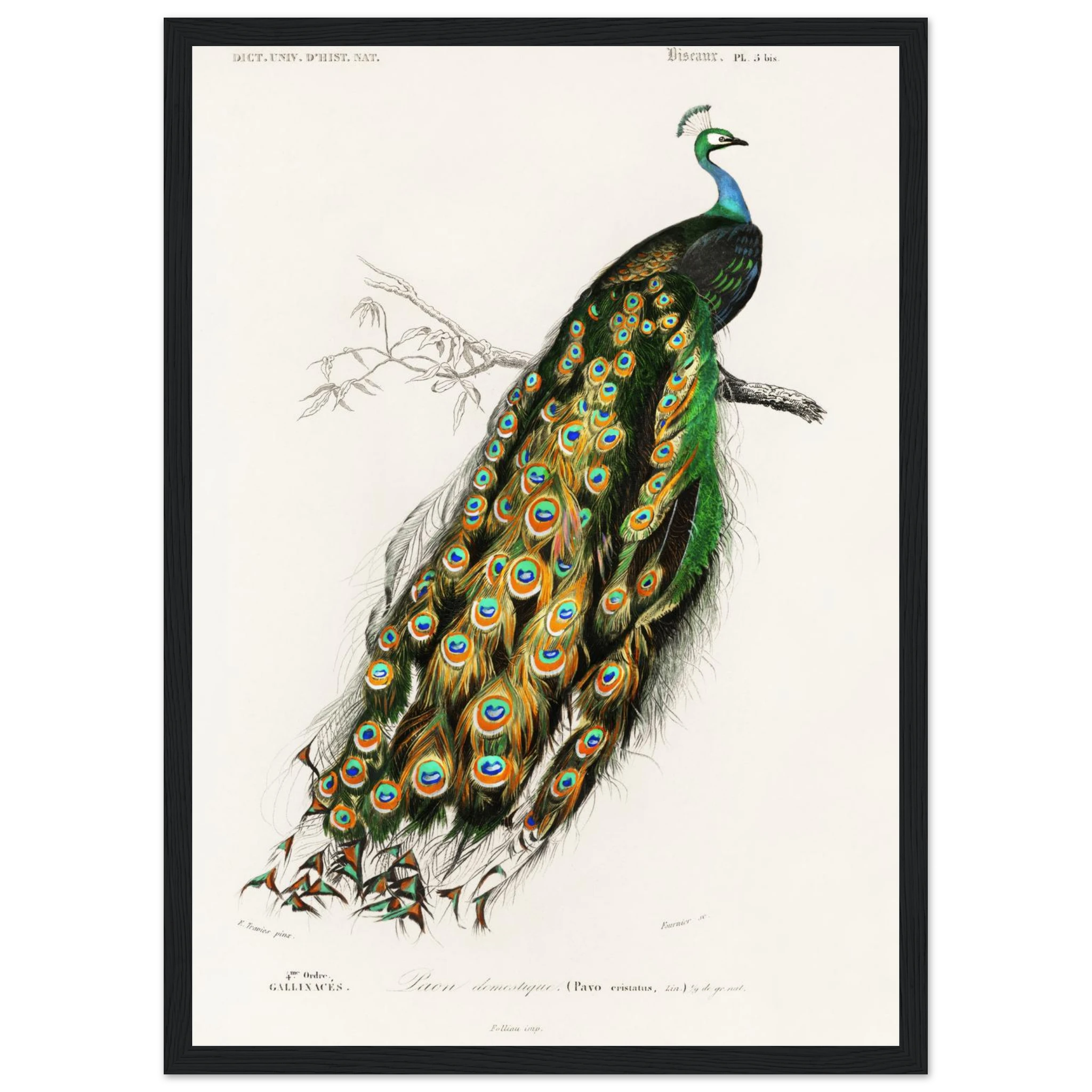 64cc0214-b682-495d-a3ef-2bd838c81ae9