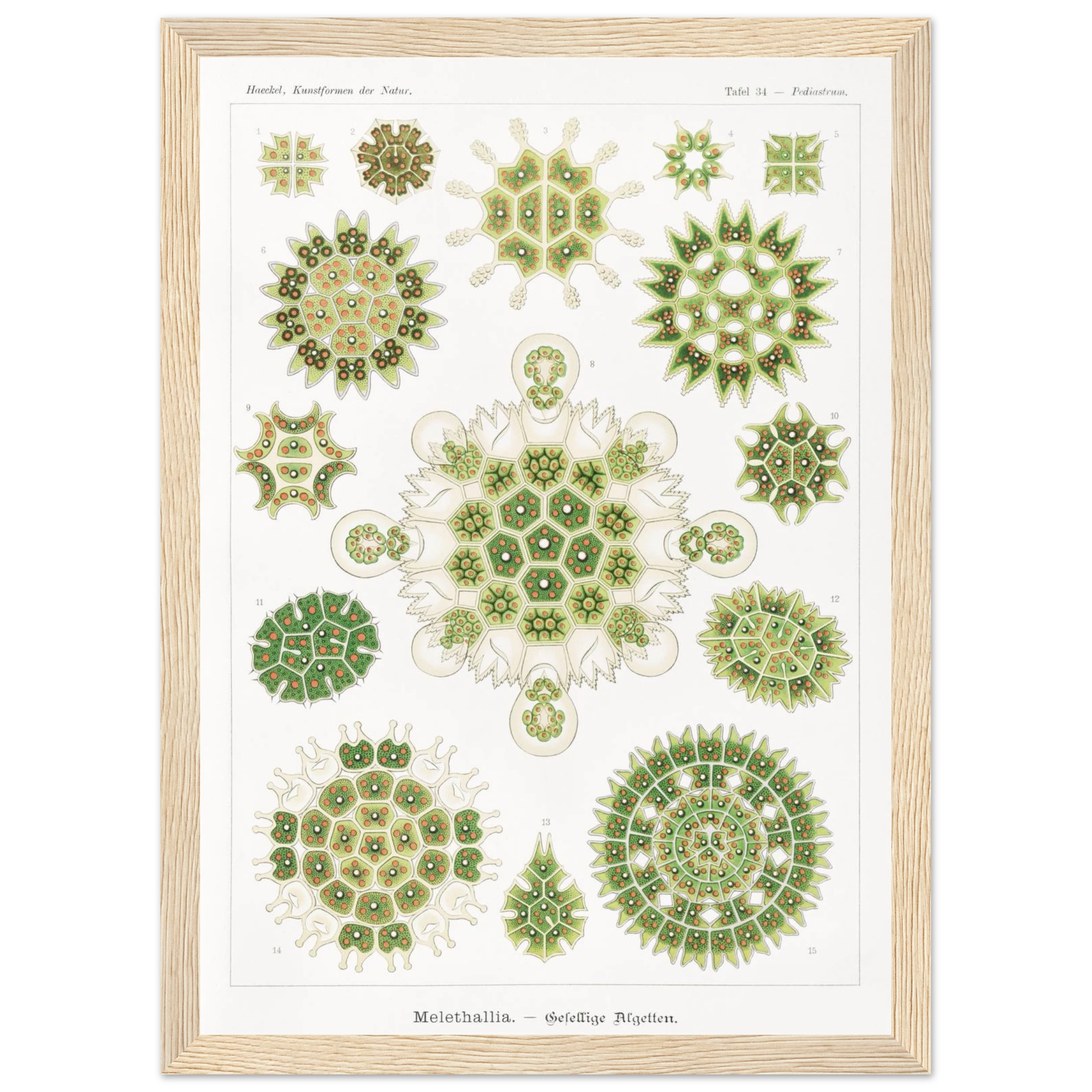 64cd7fad-2133-4d7a-bd25-004feff59bdb