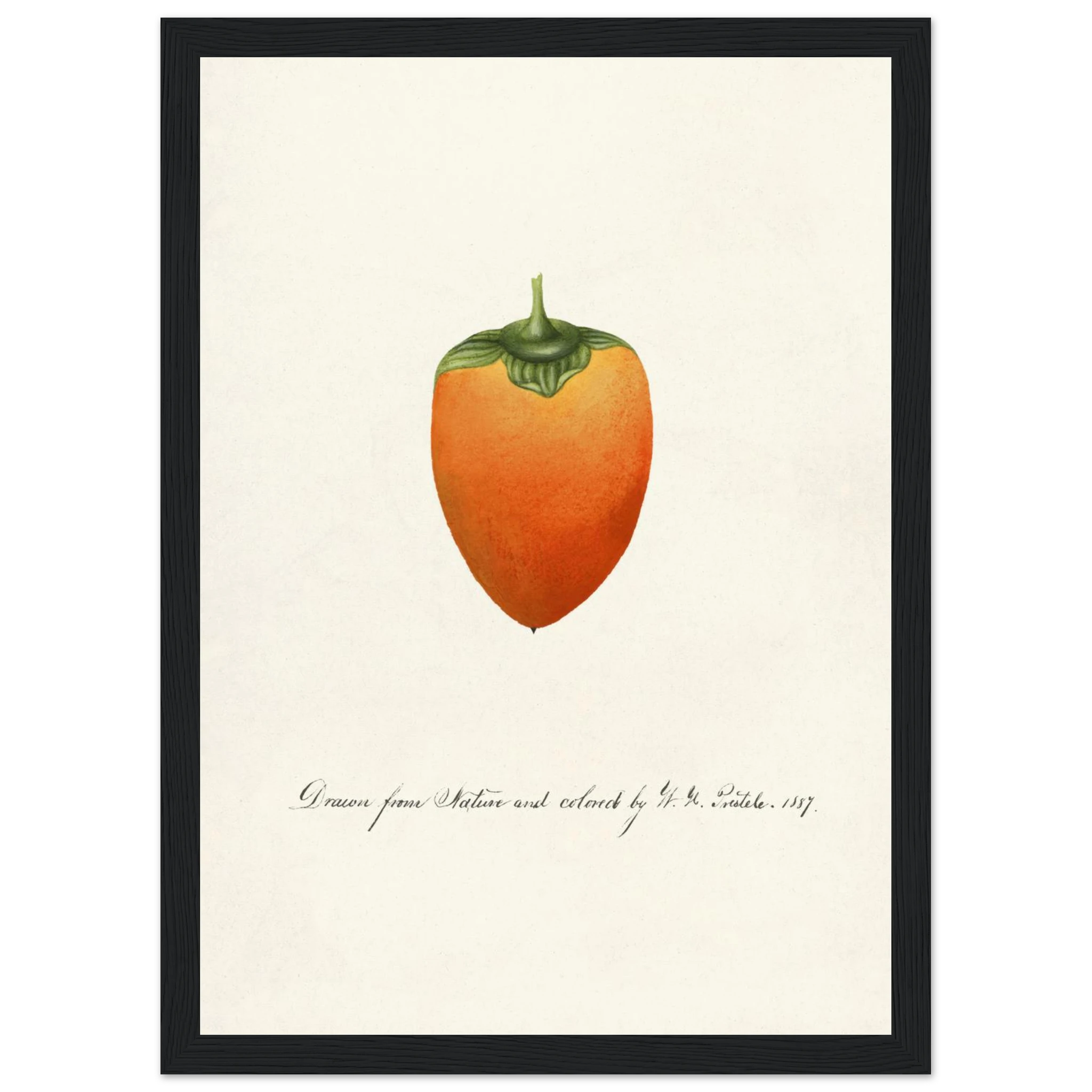 64d1a835-613f-47ca-aa22-7df4fd994782