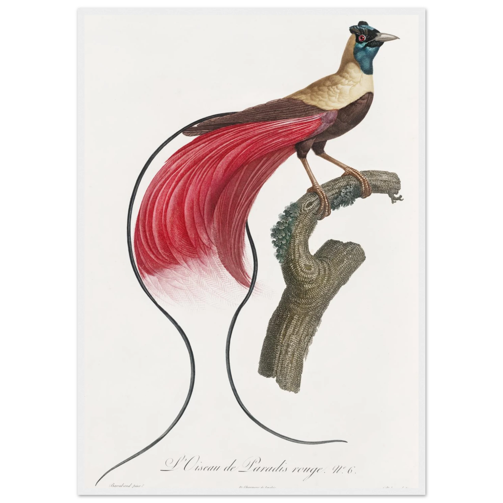 64ea0065-f3f3-47d5-9544-c4e4fd153fa4