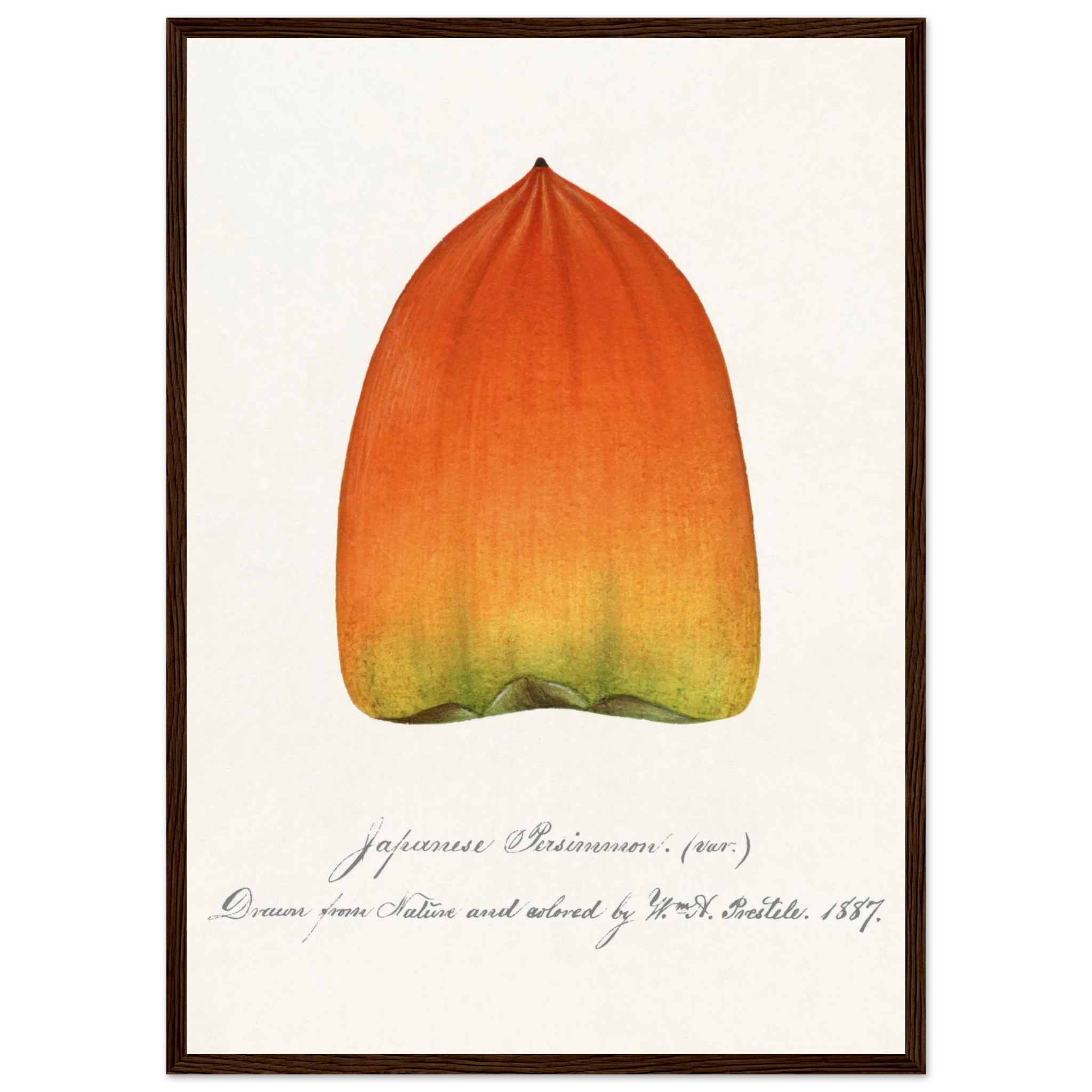 6517b630-f931-4039-94c8-b1de0f0dd5b2