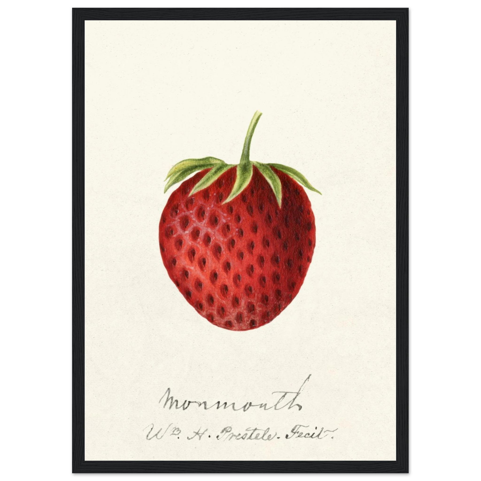 65425818-ea95-413e-b5eb-8e9678f8df1b