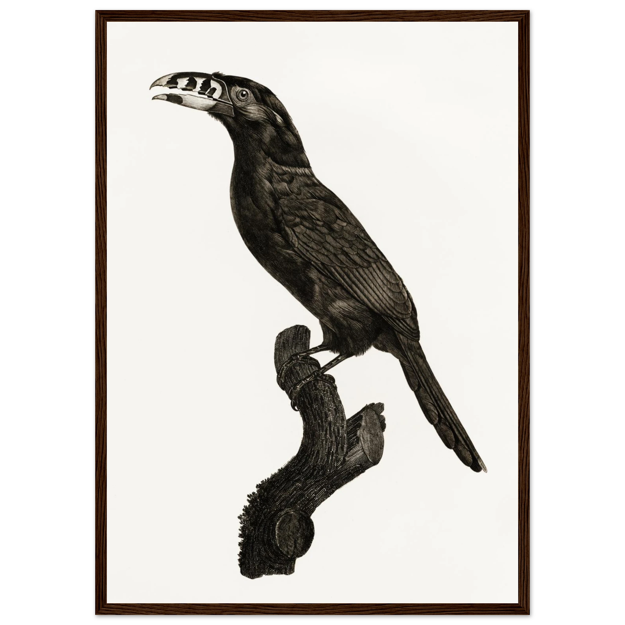 65ae46b4-563f-40f0-82a8-6d021c872bc8