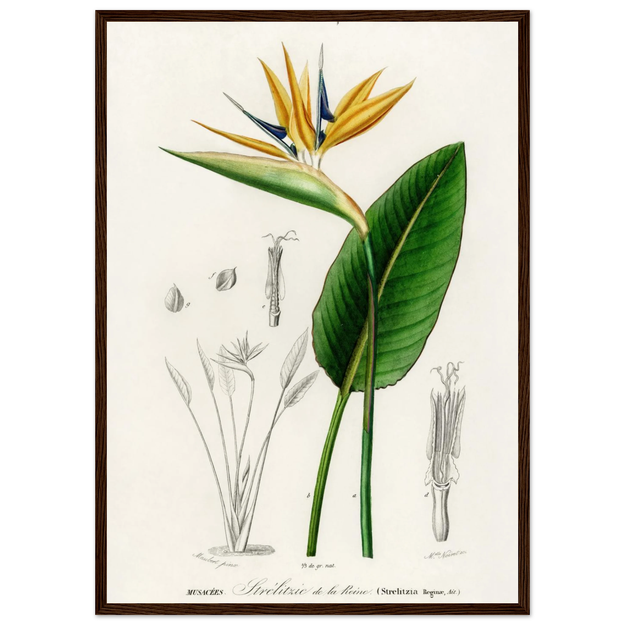 65b7d700-9859-45c5-adfe-8cbe0430329e