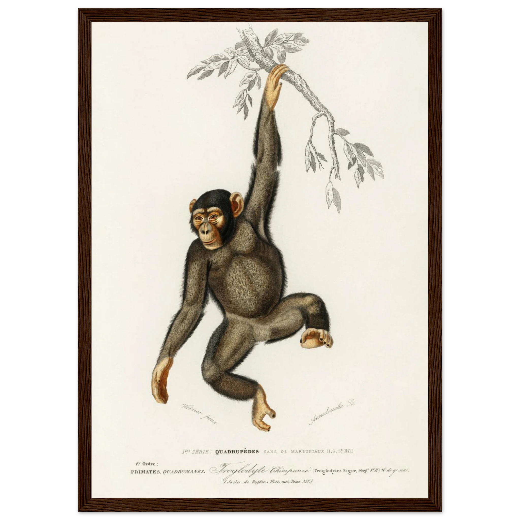 65c42a15-fc2b-4ea1-84d5-a1229c24ba8a